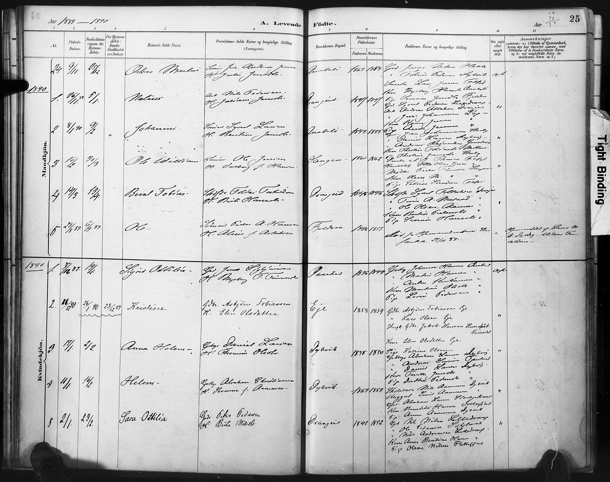 Flekkefjord sokneprestkontor, SAK/1111-0012/F/Fa/Fac/L0008: Parish register (official) no. A 8, 1885-1898, p. 25