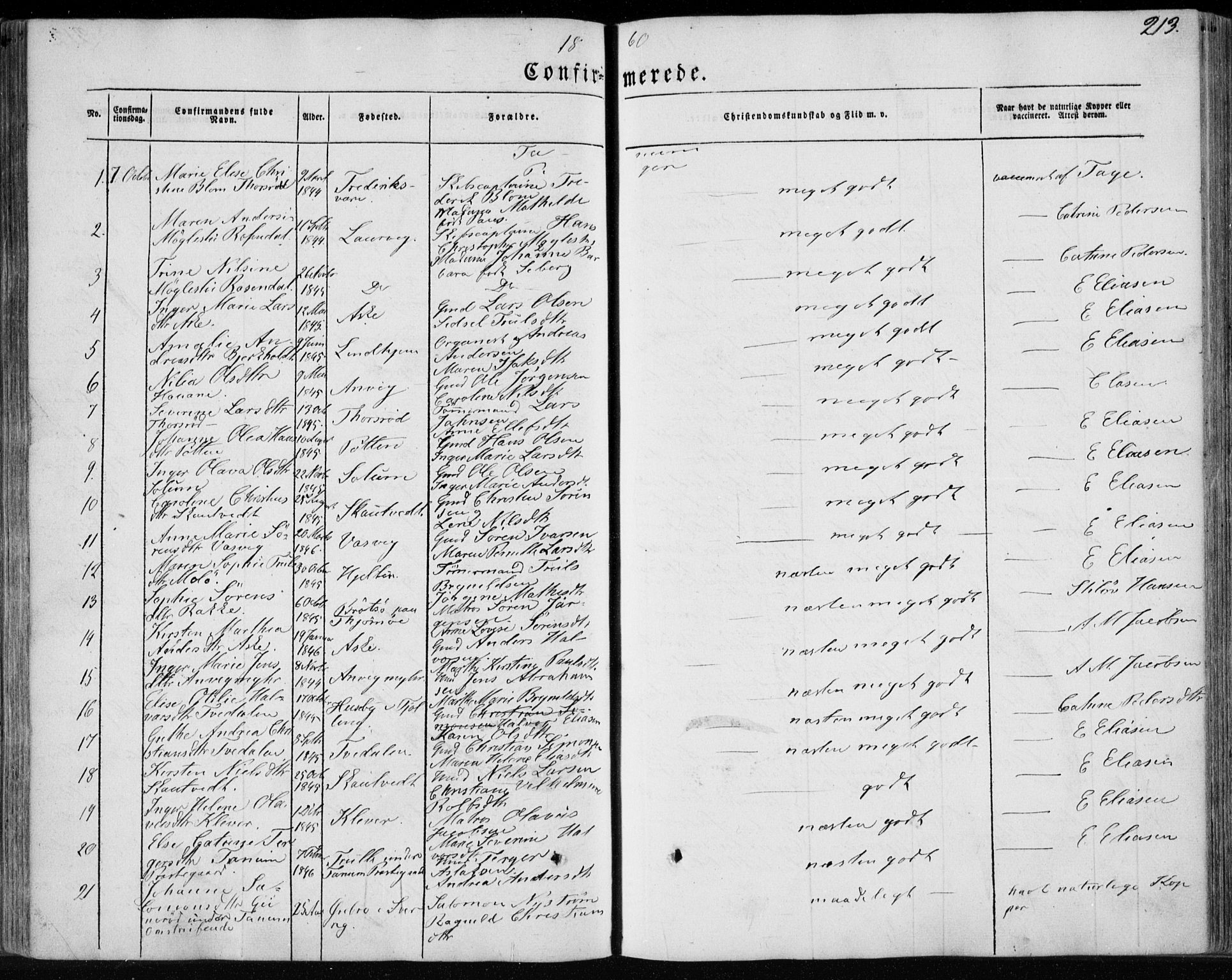 Brunlanes kirkebøker, SAKO/A-342/F/Fa/L0004: Parish register (official) no. I 4, 1846-1862, p. 213