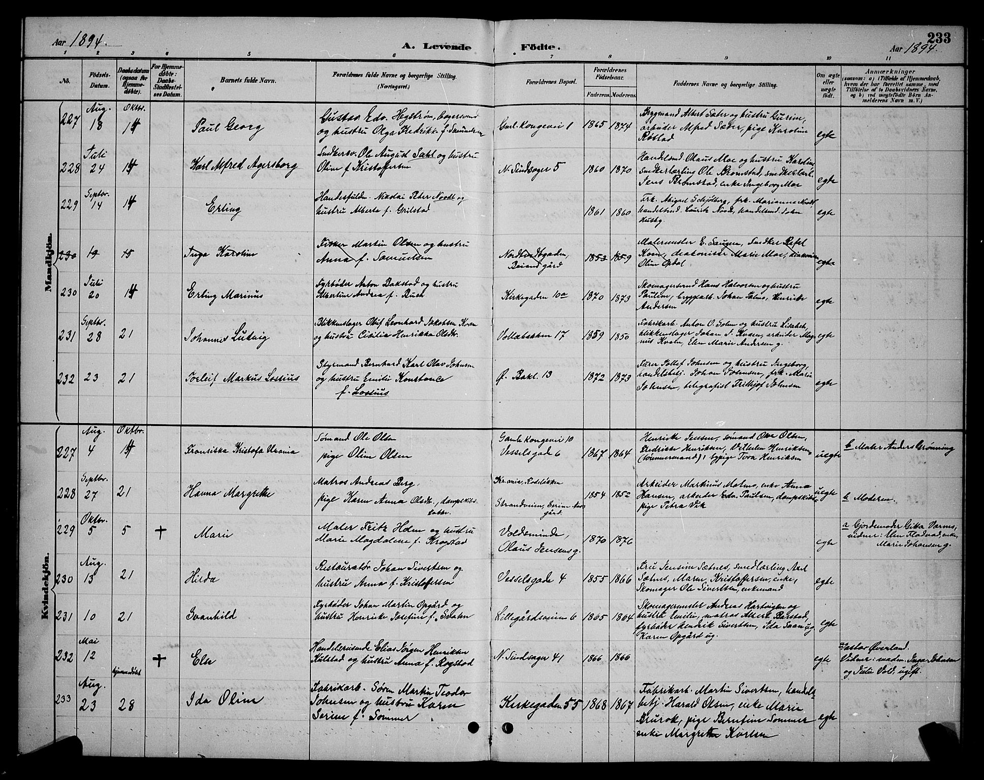 Ministerialprotokoller, klokkerbøker og fødselsregistre - Sør-Trøndelag, AV/SAT-A-1456/604/L0222: Parish register (copy) no. 604C05, 1886-1895, p. 233