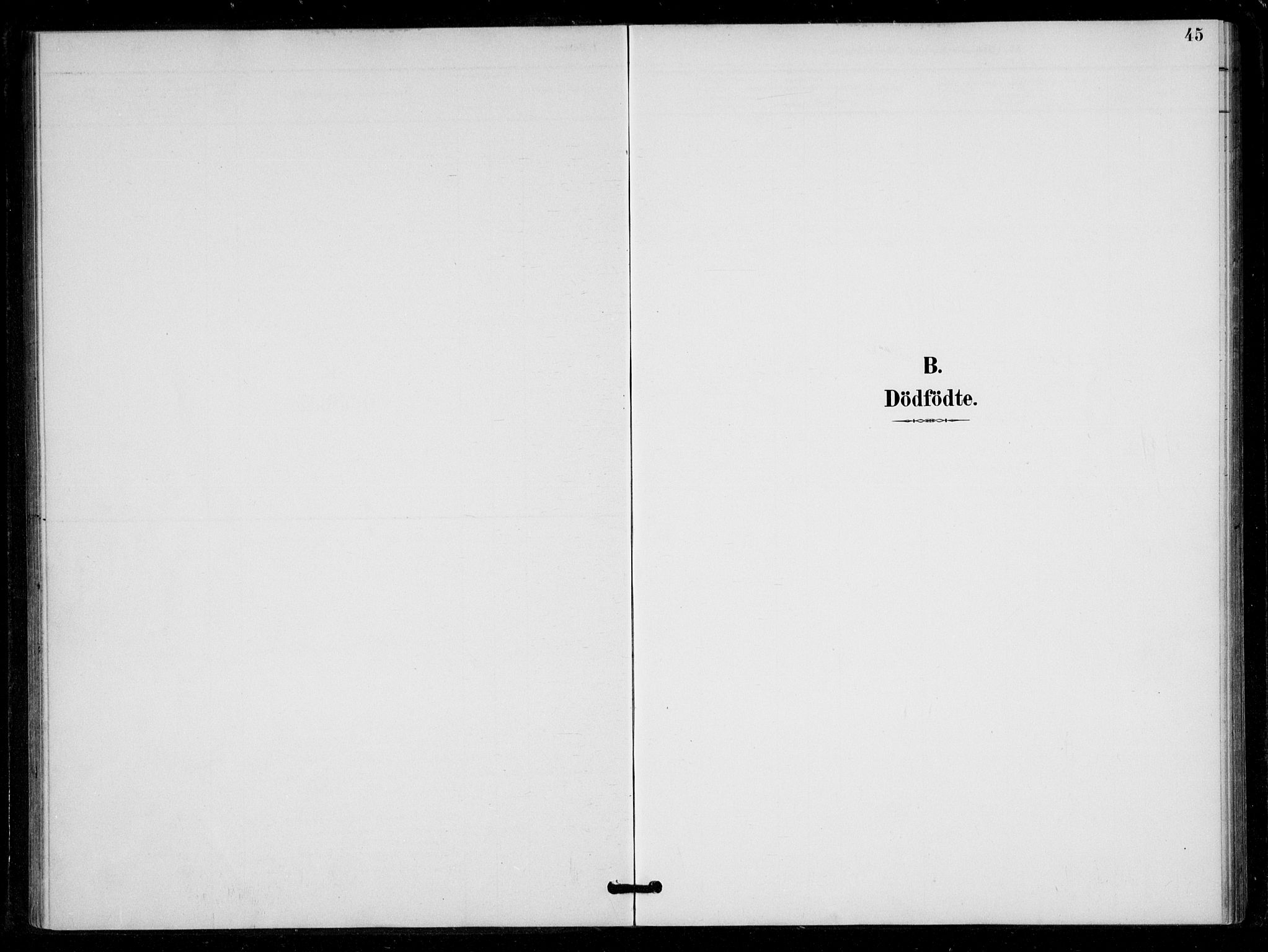 Bygland sokneprestkontor, AV/SAK-1111-0006/F/Fa/Fad/L0001: Parish register (official) no. A 1, 1885-1906, p. 45