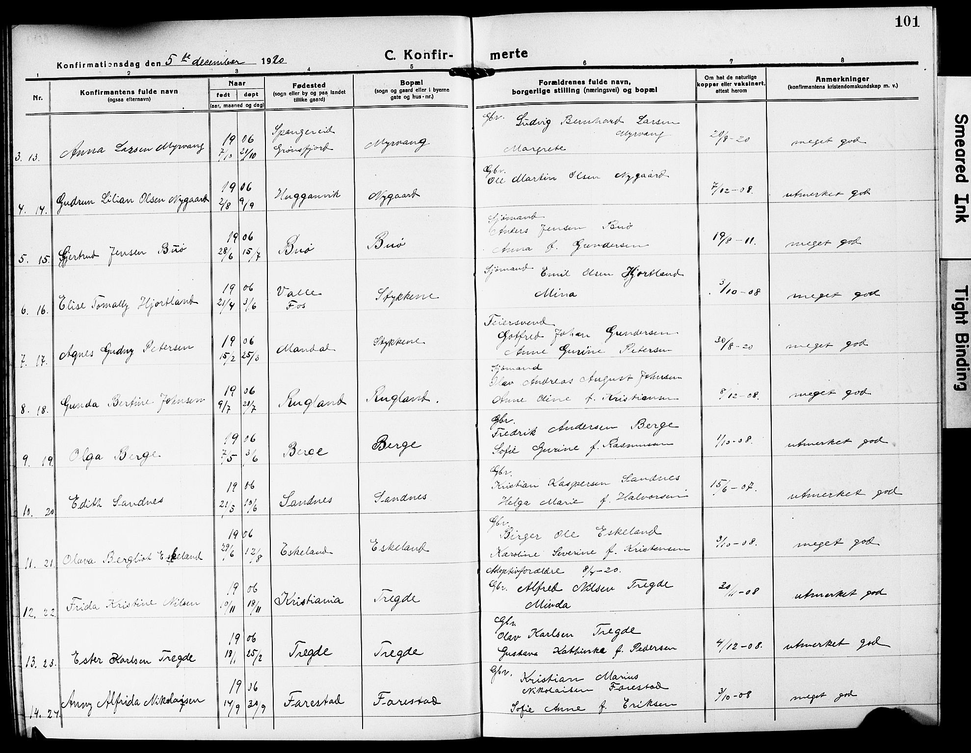 Mandal sokneprestkontor, SAK/1111-0030/F/Fb/Fba/L0013: Parish register (copy) no. B 7, 1918-1931, p. 101