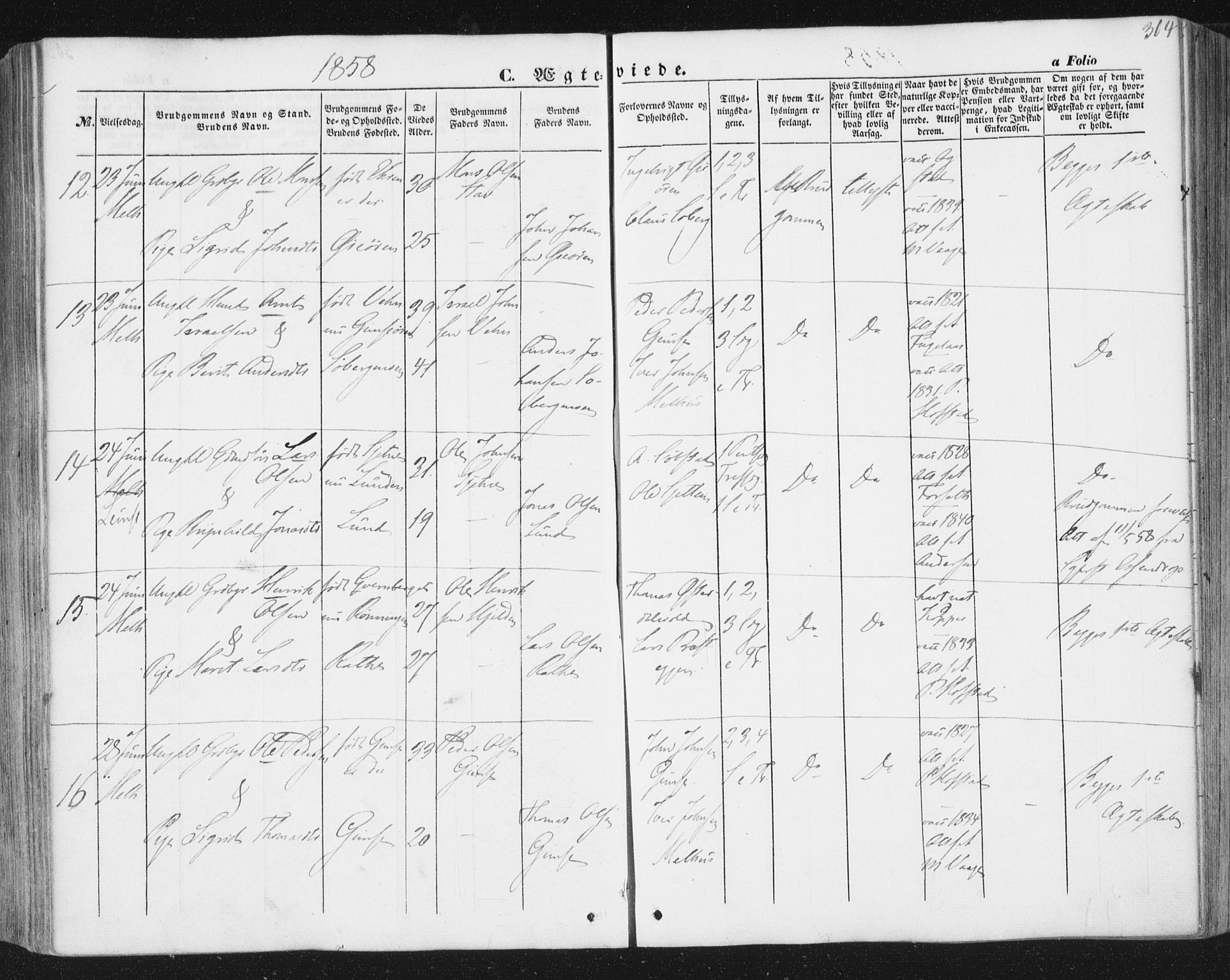 Ministerialprotokoller, klokkerbøker og fødselsregistre - Sør-Trøndelag, AV/SAT-A-1456/691/L1076: Parish register (official) no. 691A08, 1852-1861, p. 304