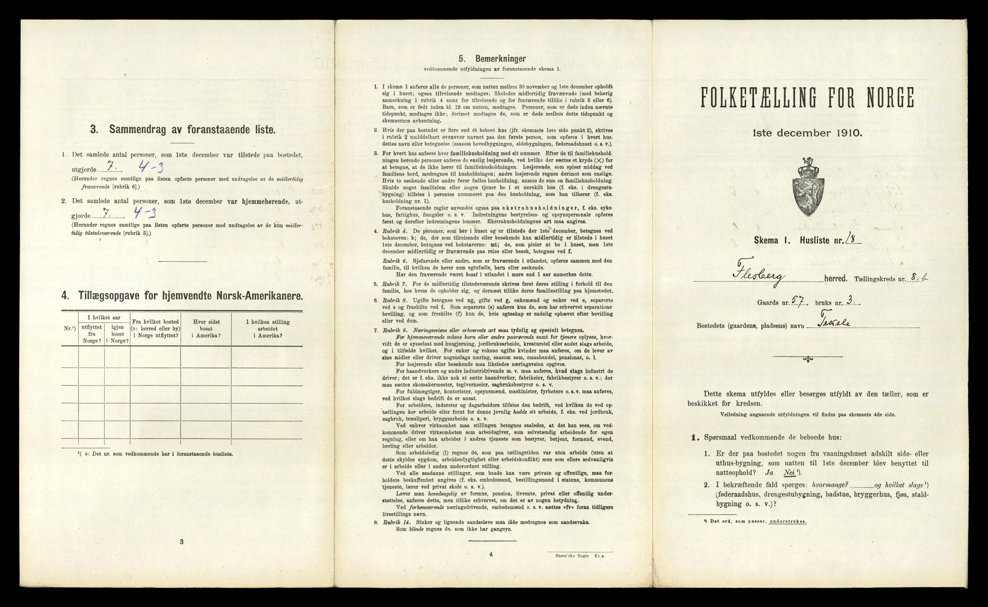 RA, 1910 census for Flesberg, 1910, p. 593