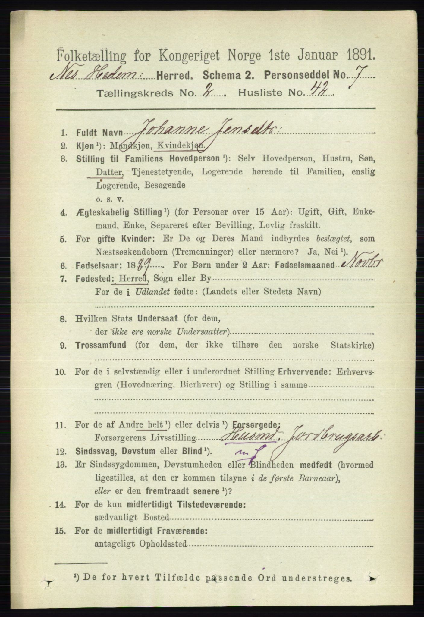 RA, 1891 census for 0411 Nes, 1891, p. 1383