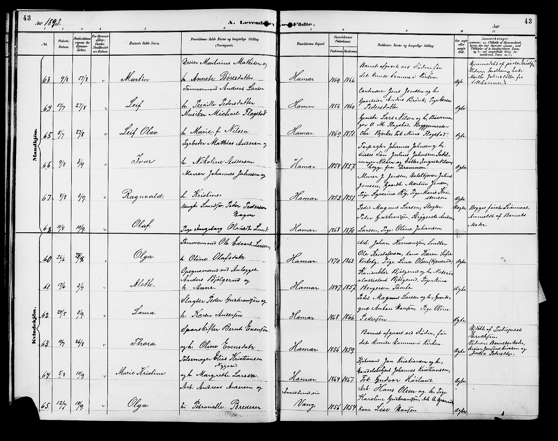 Vang prestekontor, Hedmark, SAH/PREST-008/H/Ha/Hab/L0013: Parish register (copy) no. 13, 1890-1899, p. 43