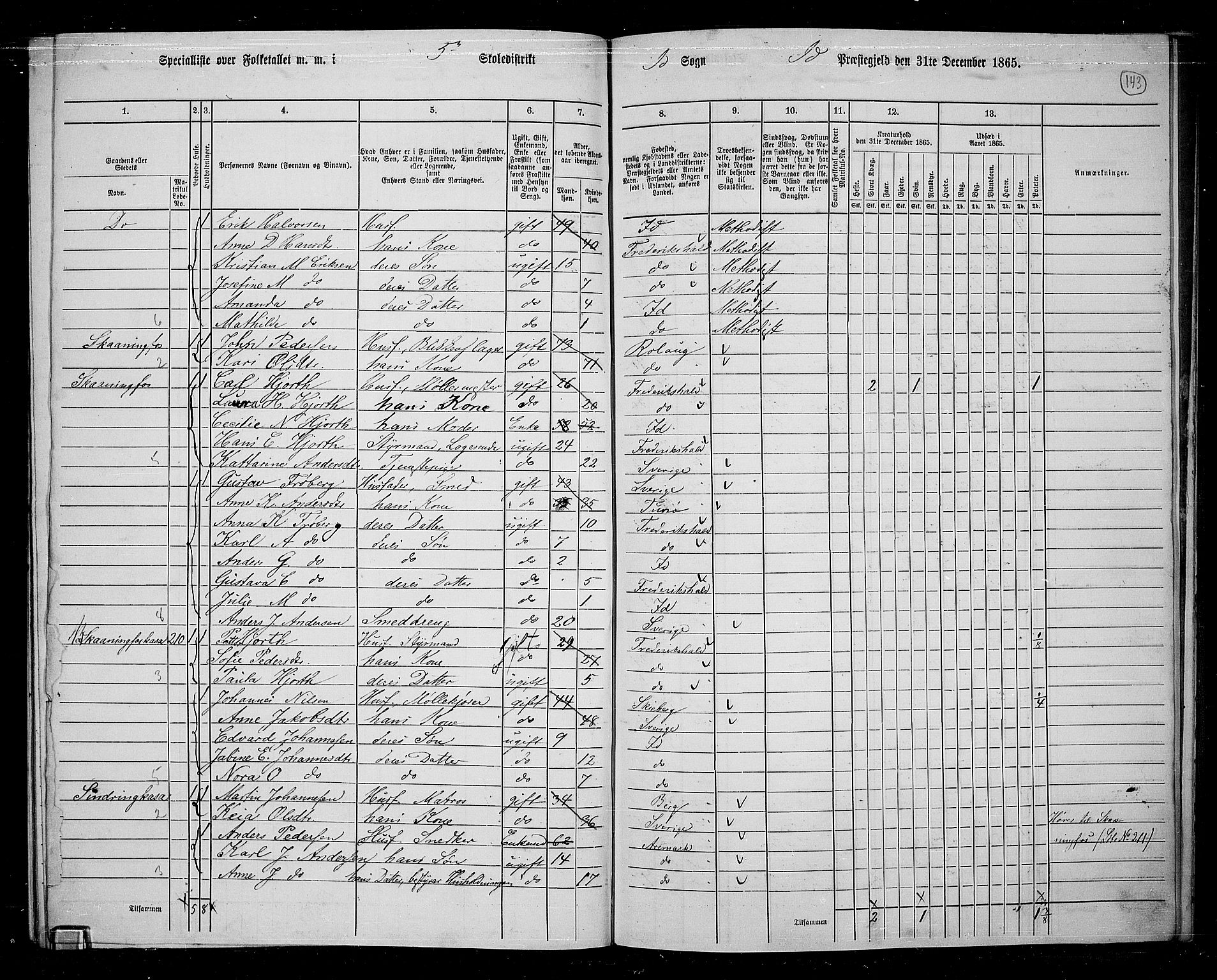 RA, 1865 census for Idd, 1865, p. 128