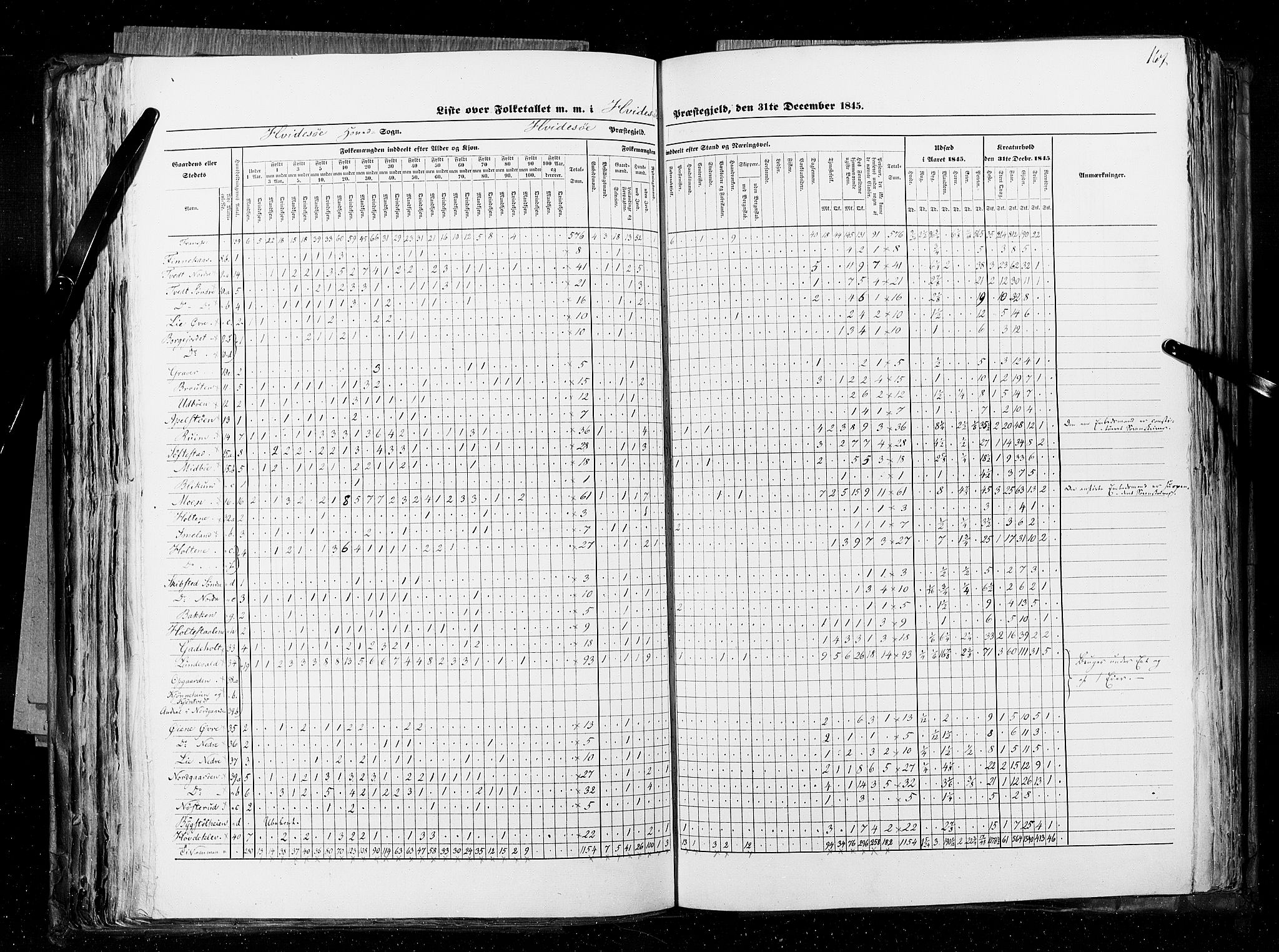 RA, Census 1845, vol. 5: Bratsberg amt og Nedenes og Råbyggelaget amt, 1845, p. 167