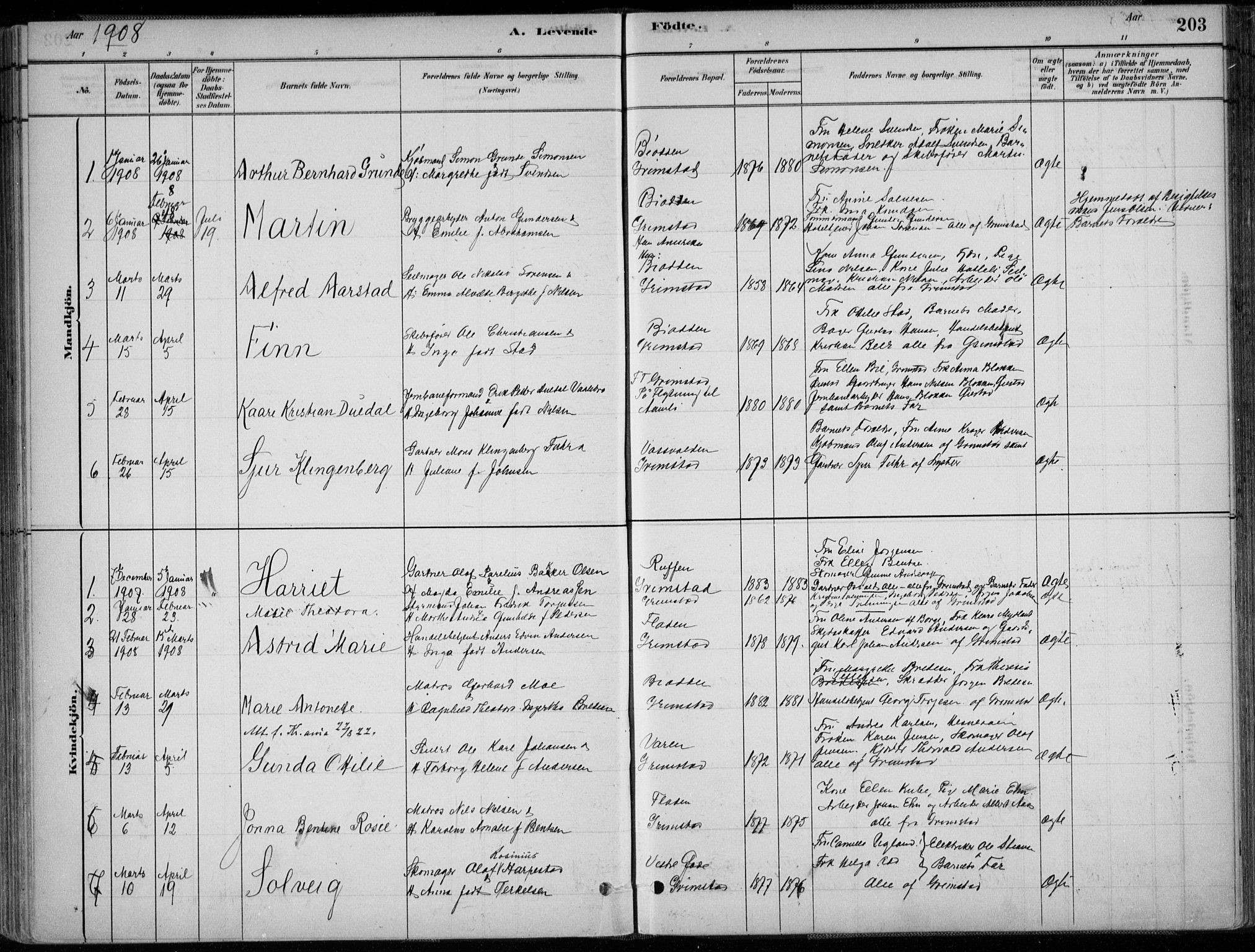 Grimstad sokneprestkontor, SAK/1111-0017/F/Fa/L0003: Parish register (official) no. A 2, 1882-1912, p. 203