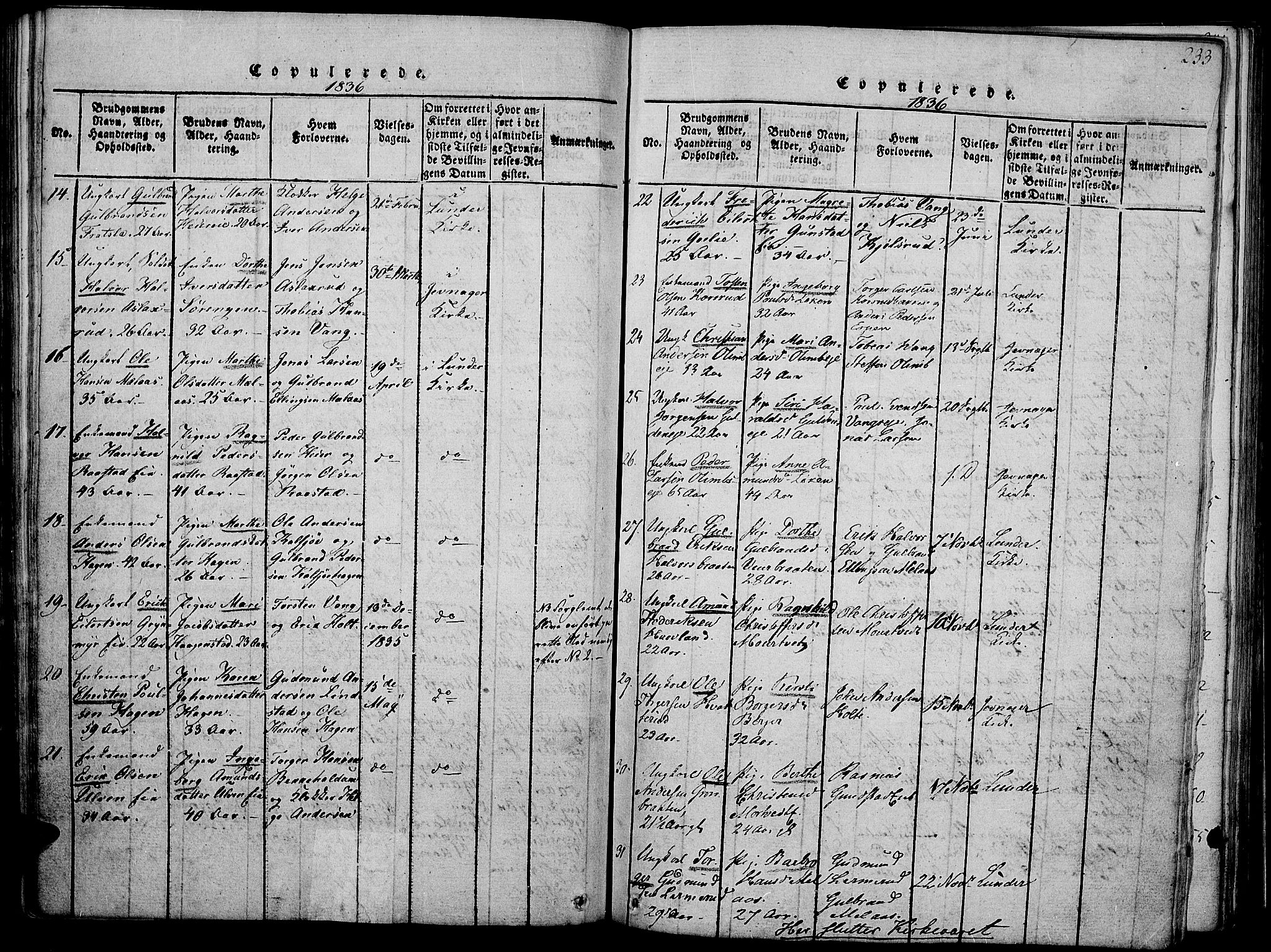 Jevnaker prestekontor, SAH/PREST-116/H/Ha/Haa/L0005: Parish register (official) no. 5, 1815-1837, p. 233