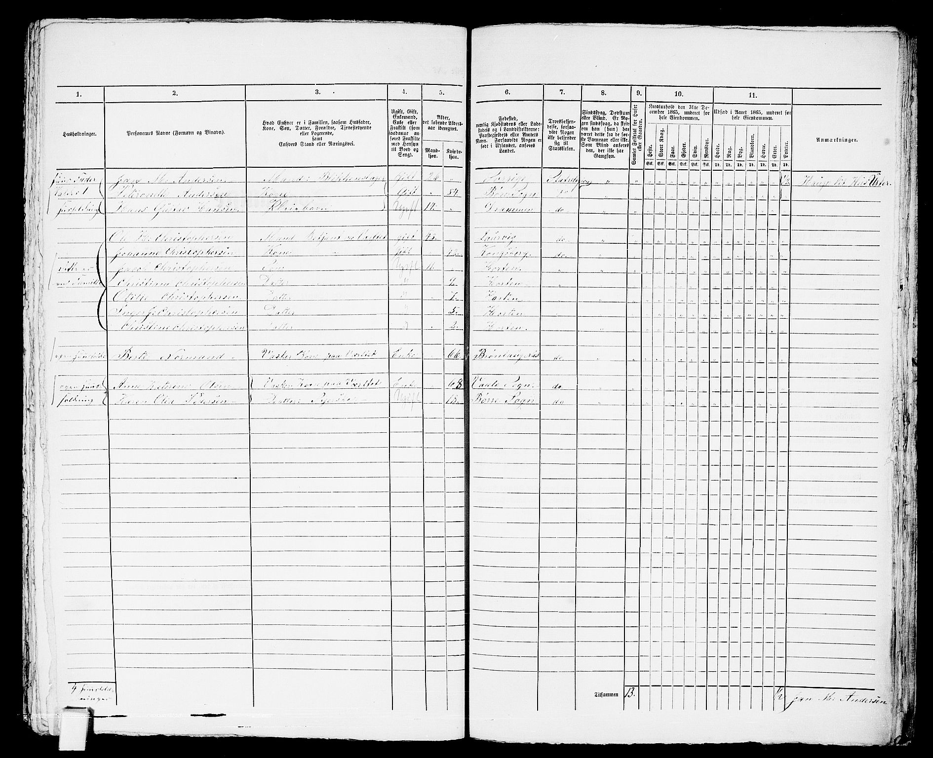 RA, 1865 census for Horten, 1865, p. 394