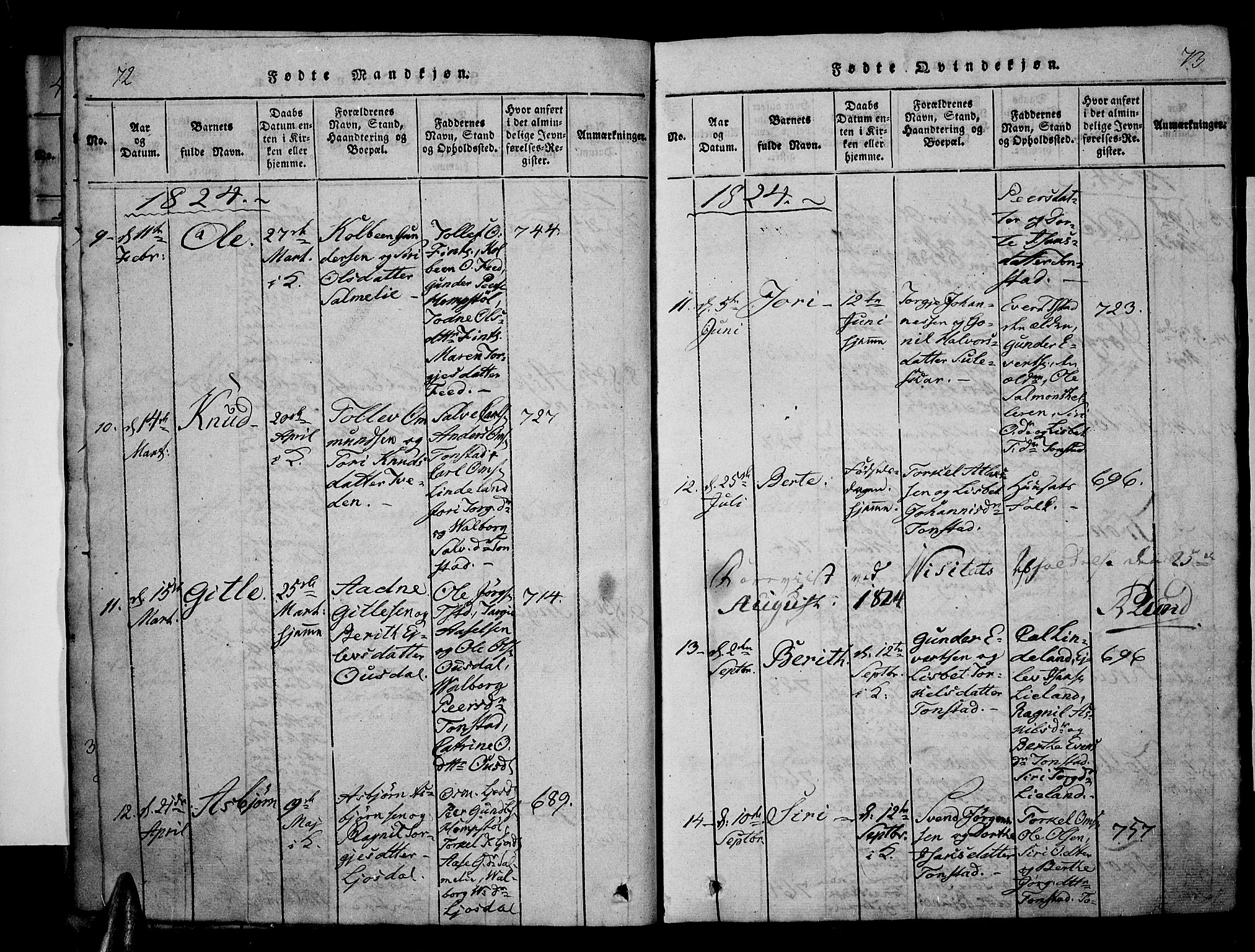 Sirdal sokneprestkontor, SAK/1111-0036/F/Fa/Fab/L0001: Parish register (official) no. A 1, 1815-1834, p. 72-73
