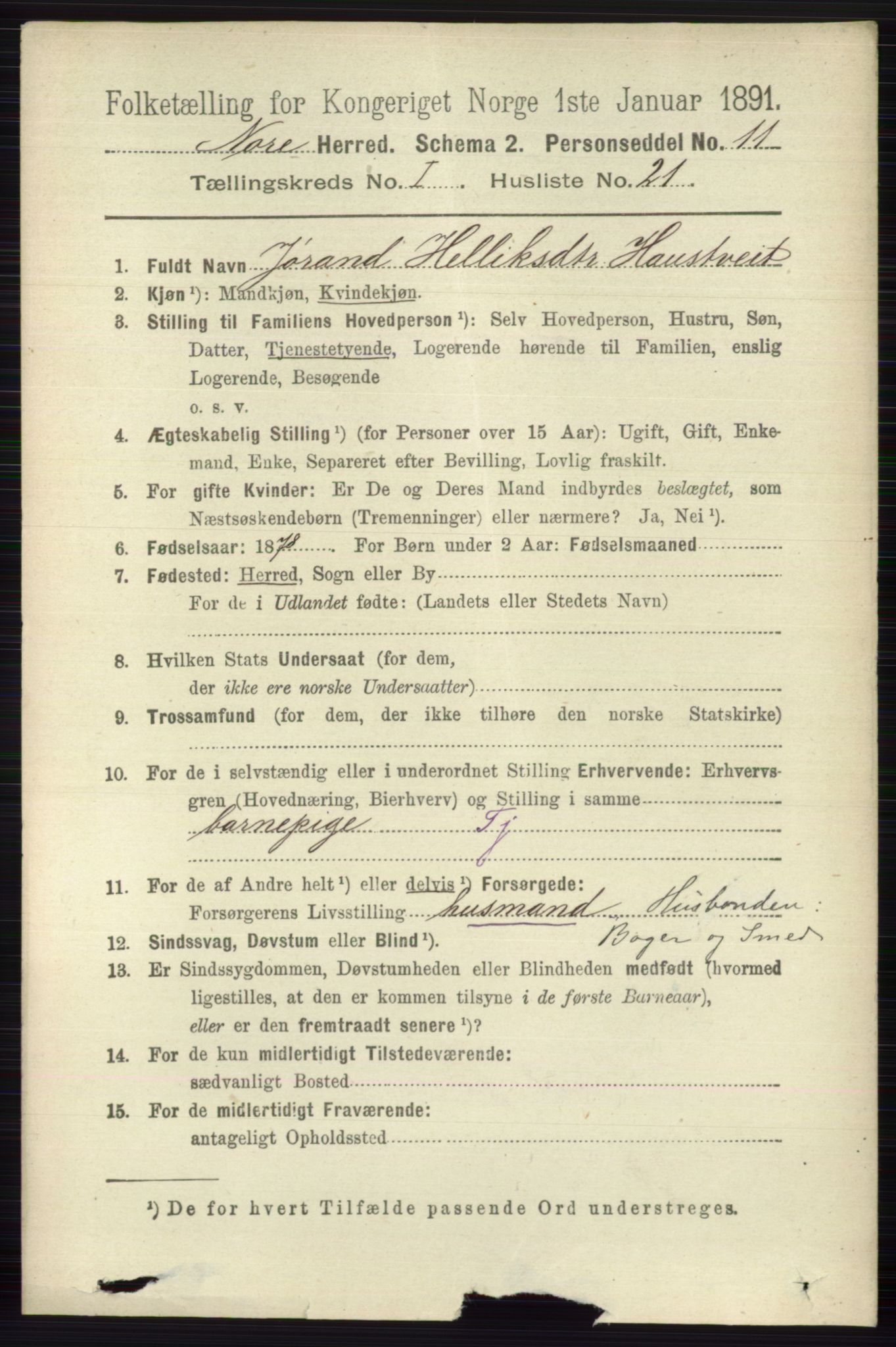 RA, 1891 census for 0633 Nore, 1891, p. 175