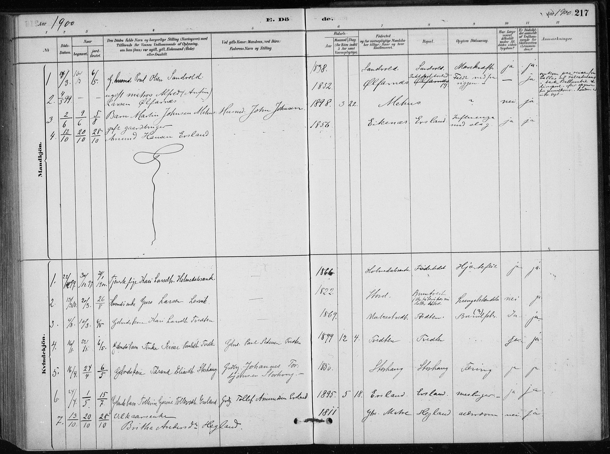 Skånevik sokneprestembete, SAB/A-77801/H/Haa: Parish register (official) no. C  1, 1879-1917, p. 217