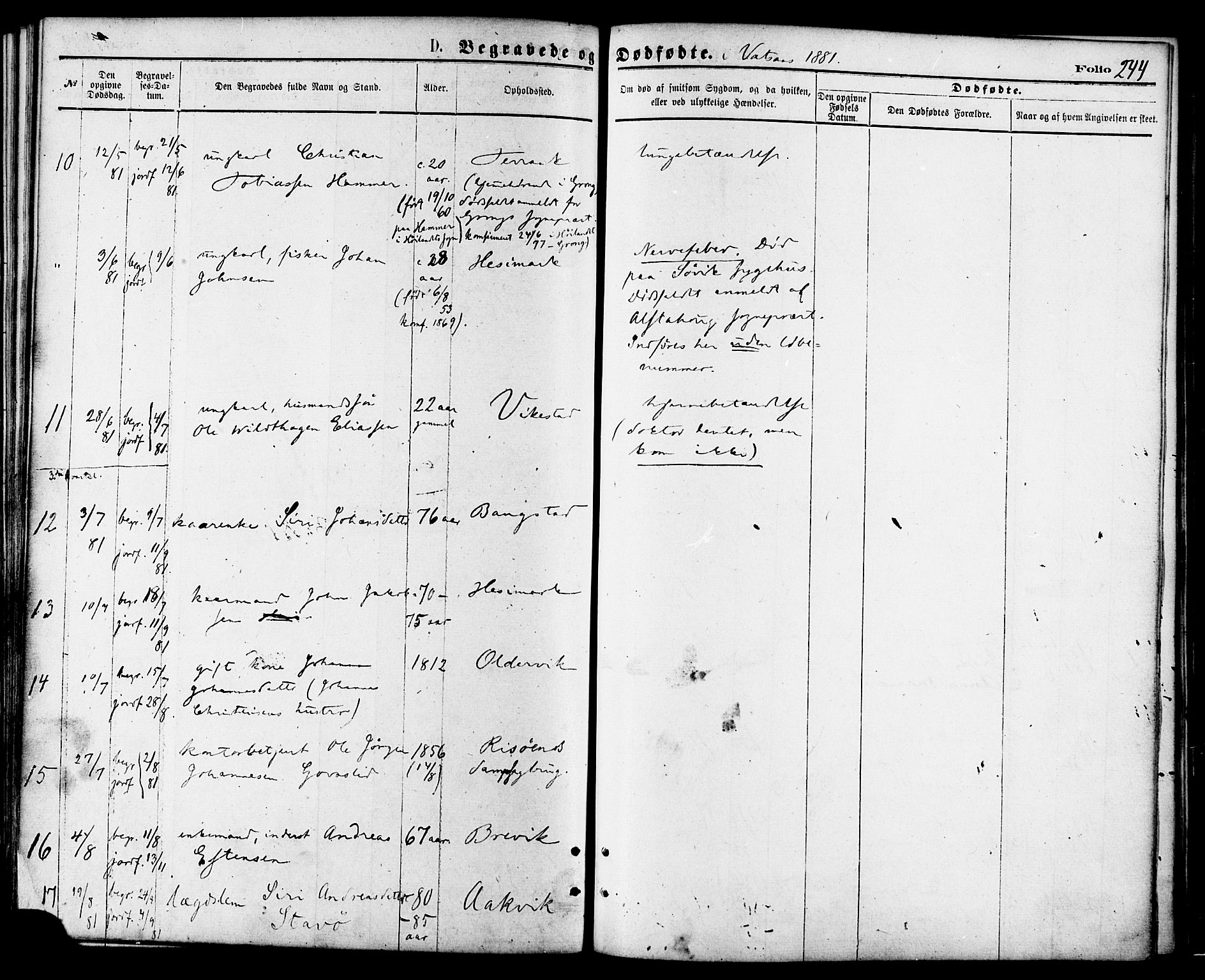 Ministerialprotokoller, klokkerbøker og fødselsregistre - Nordland, AV/SAT-A-1459/810/L0148: Parish register (official) no. 810A09 /1, 1874-1884, p. 244