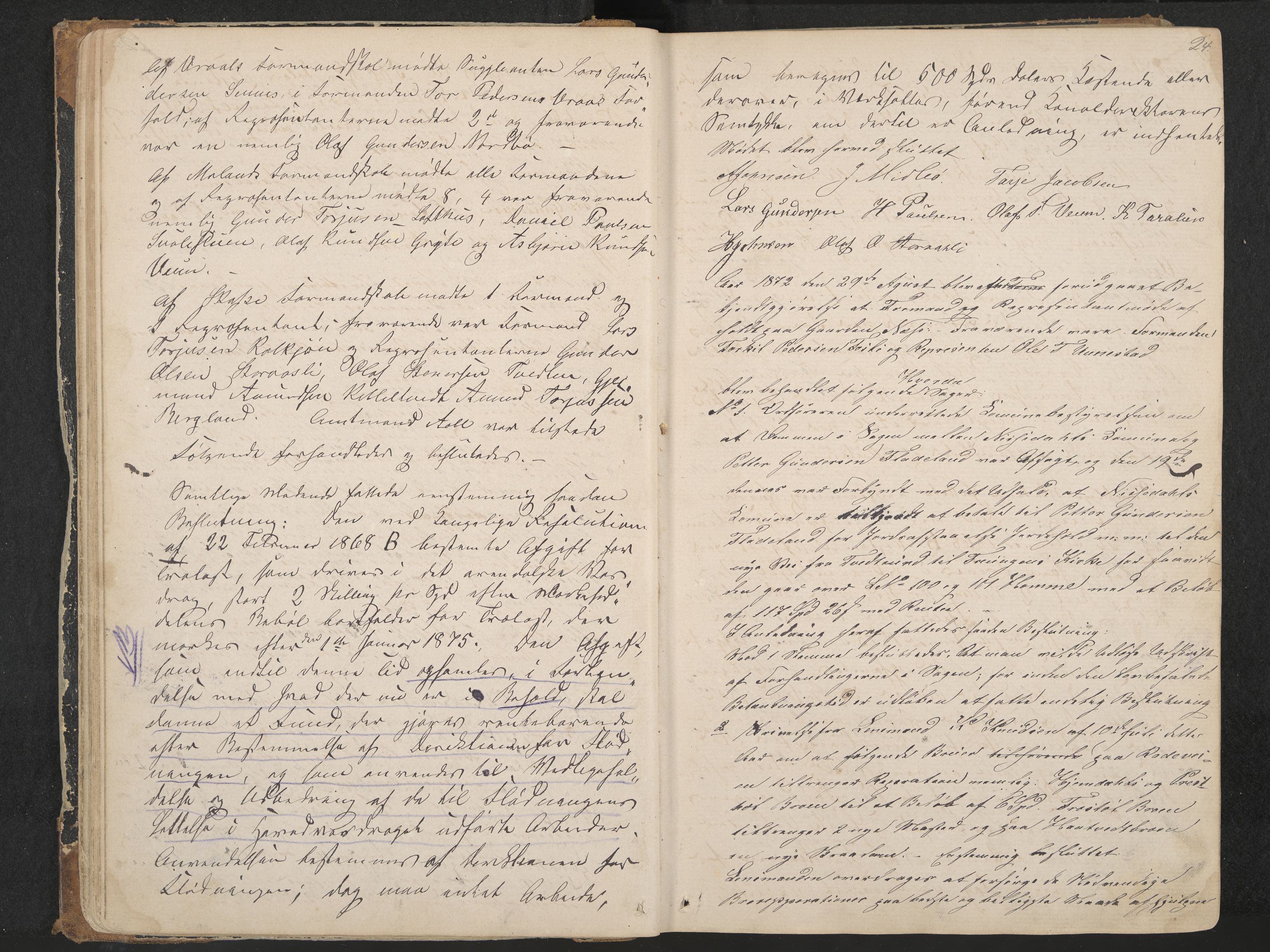 Nissedal formannskap og sentraladministrasjon, IKAK/0830021-1/A/L0002: Møtebok, 1870-1892, p. 24