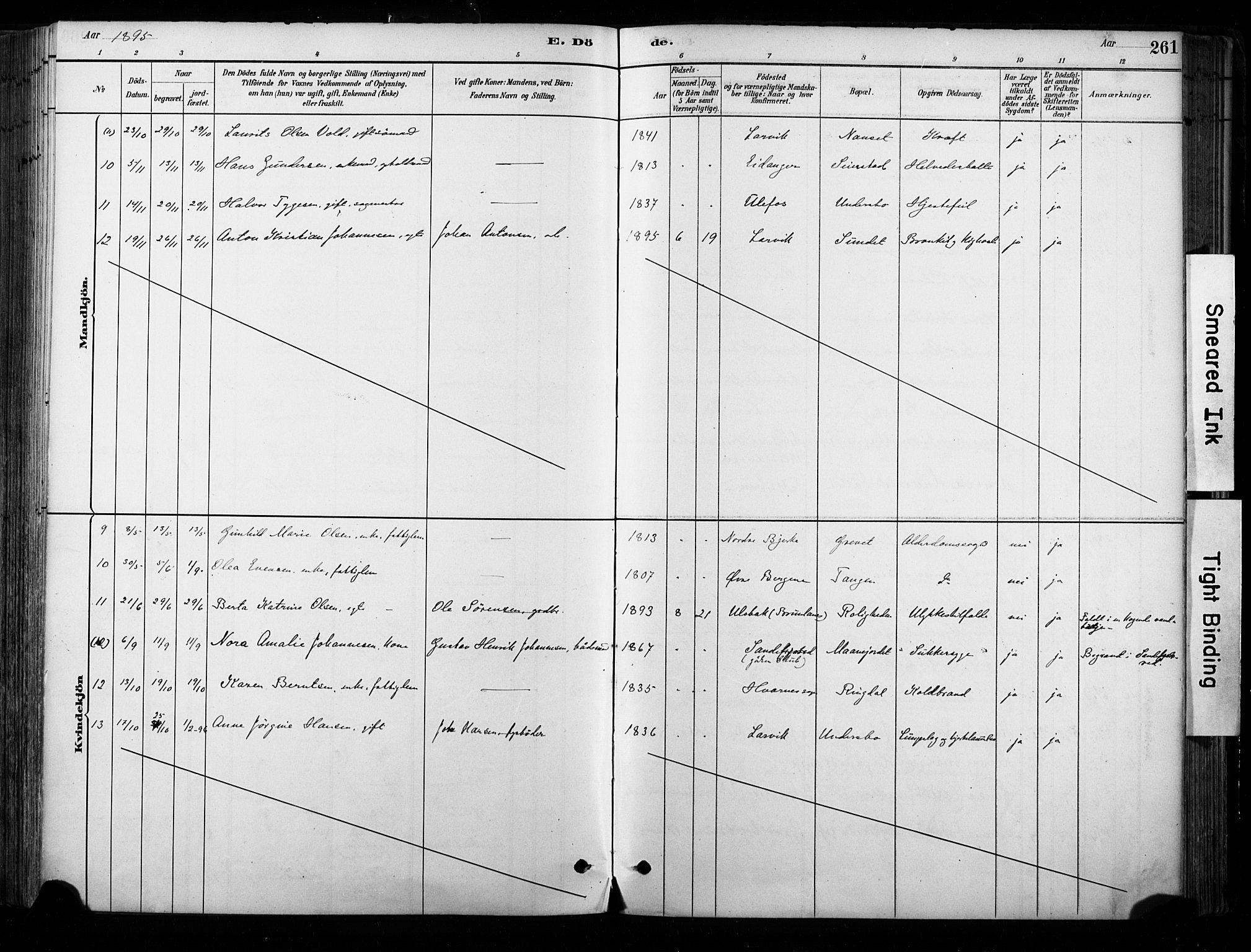 Hedrum kirkebøker, AV/SAKO-A-344/F/Fa/L0009: Parish register (official) no. I 9, 1881-1903, p. 261