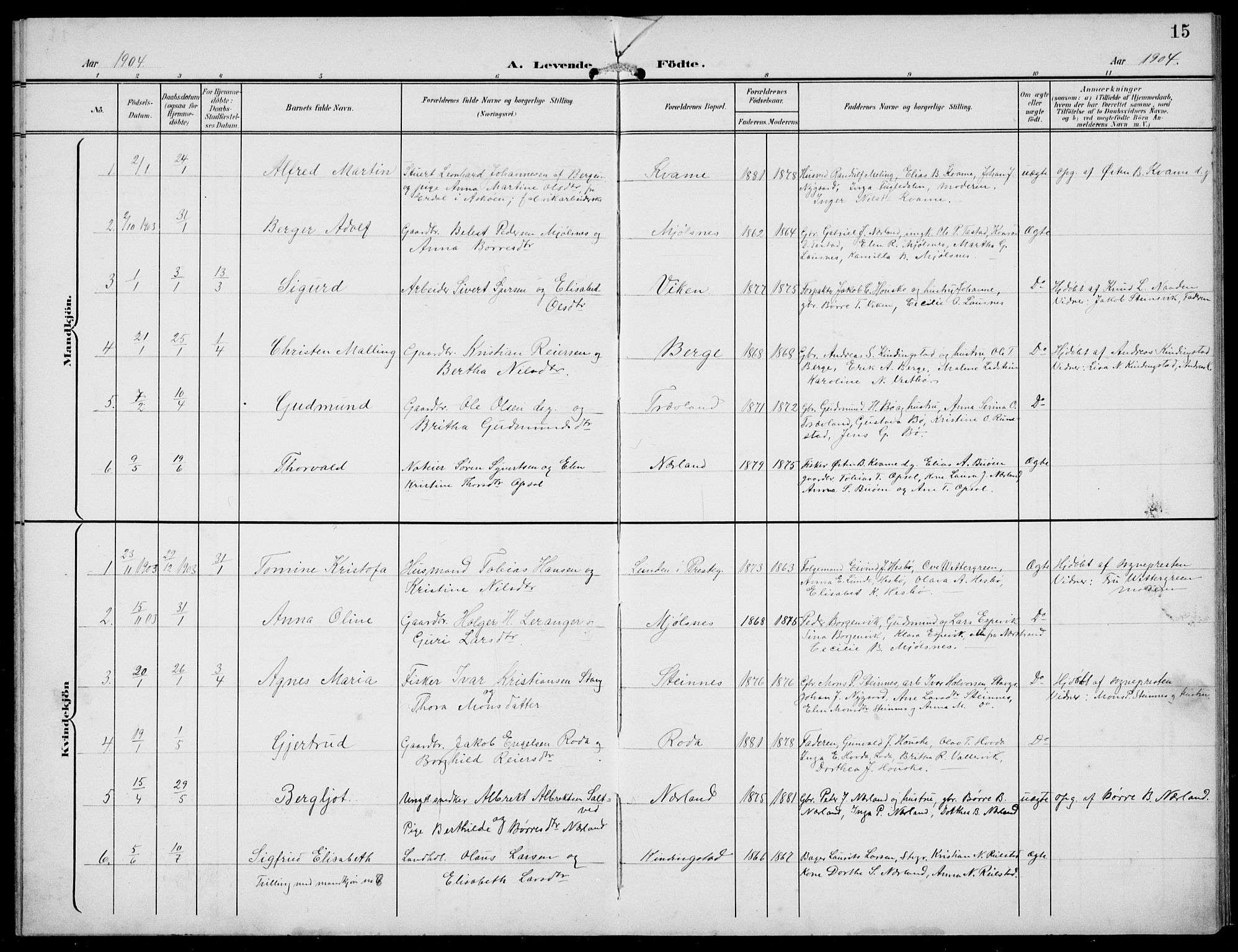 Finnøy sokneprestkontor, SAST/A-101825/H/Ha/Hab/L0006: Parish register (copy) no. B 6, 1900-1934, p. 15