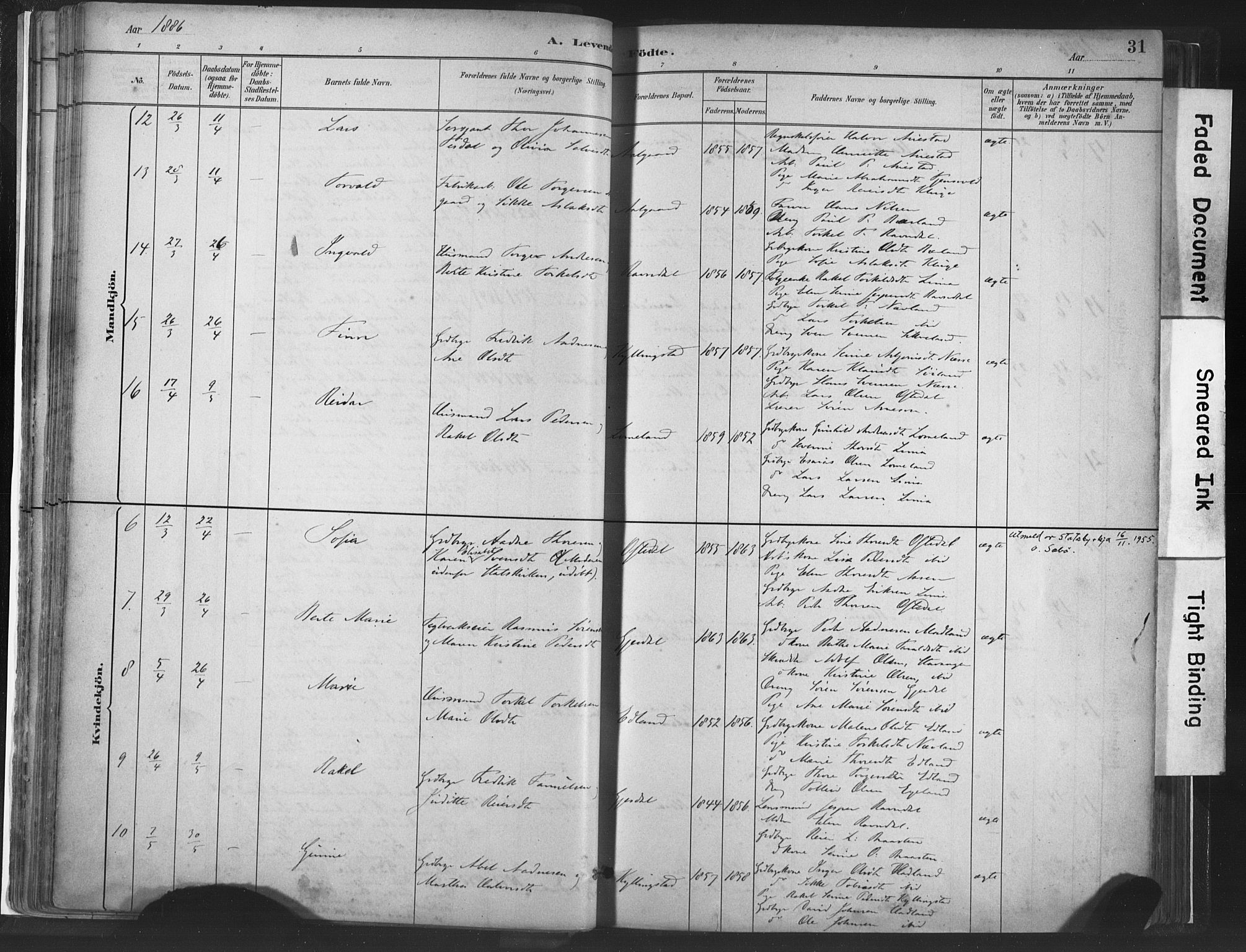 Lye sokneprestkontor, AV/SAST-A-101794/001/30BA/L0010: Parish register (official) no. A 10, 1881-1896, p. 31