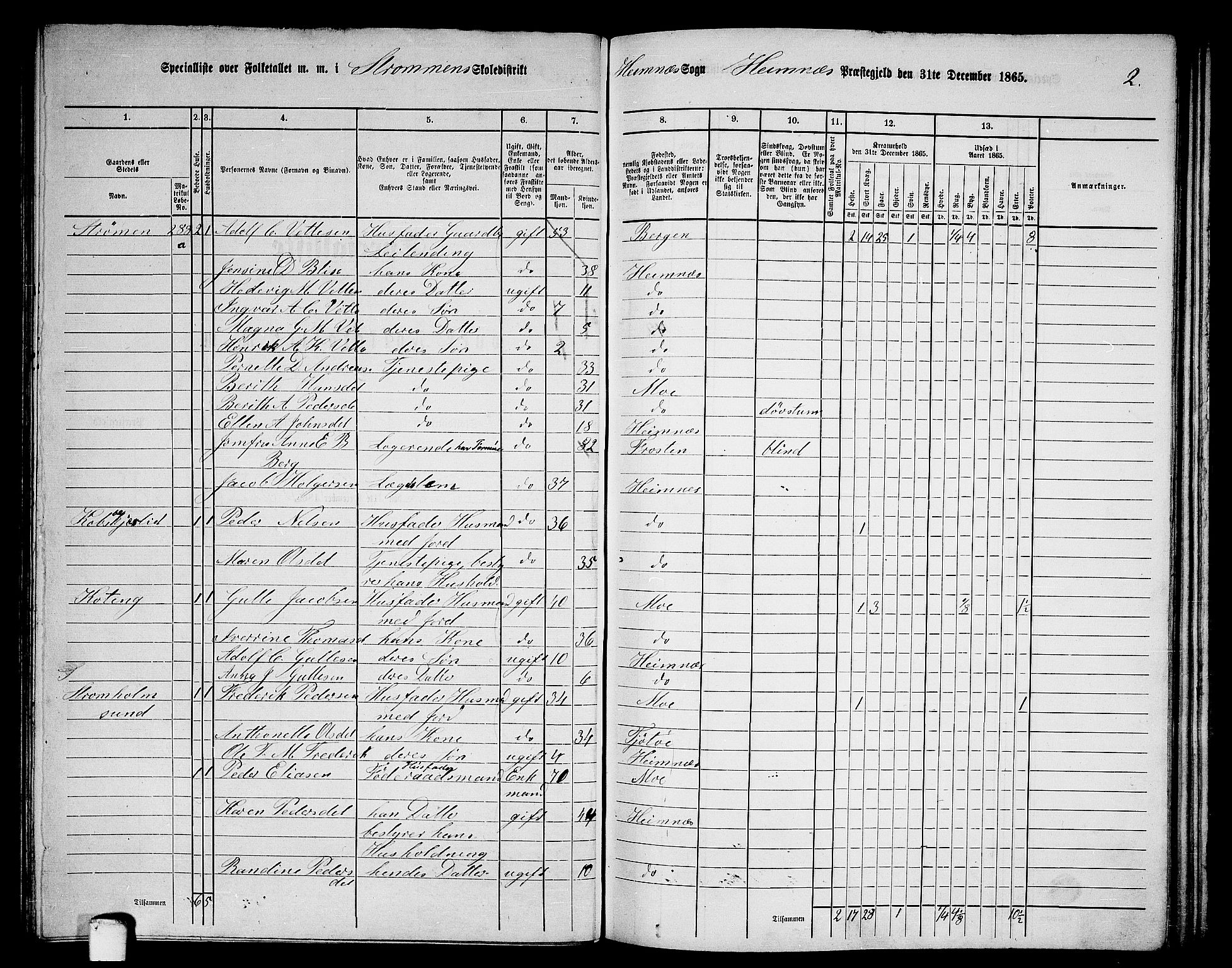 RA, 1865 census for Hemnes, 1865, p. 65