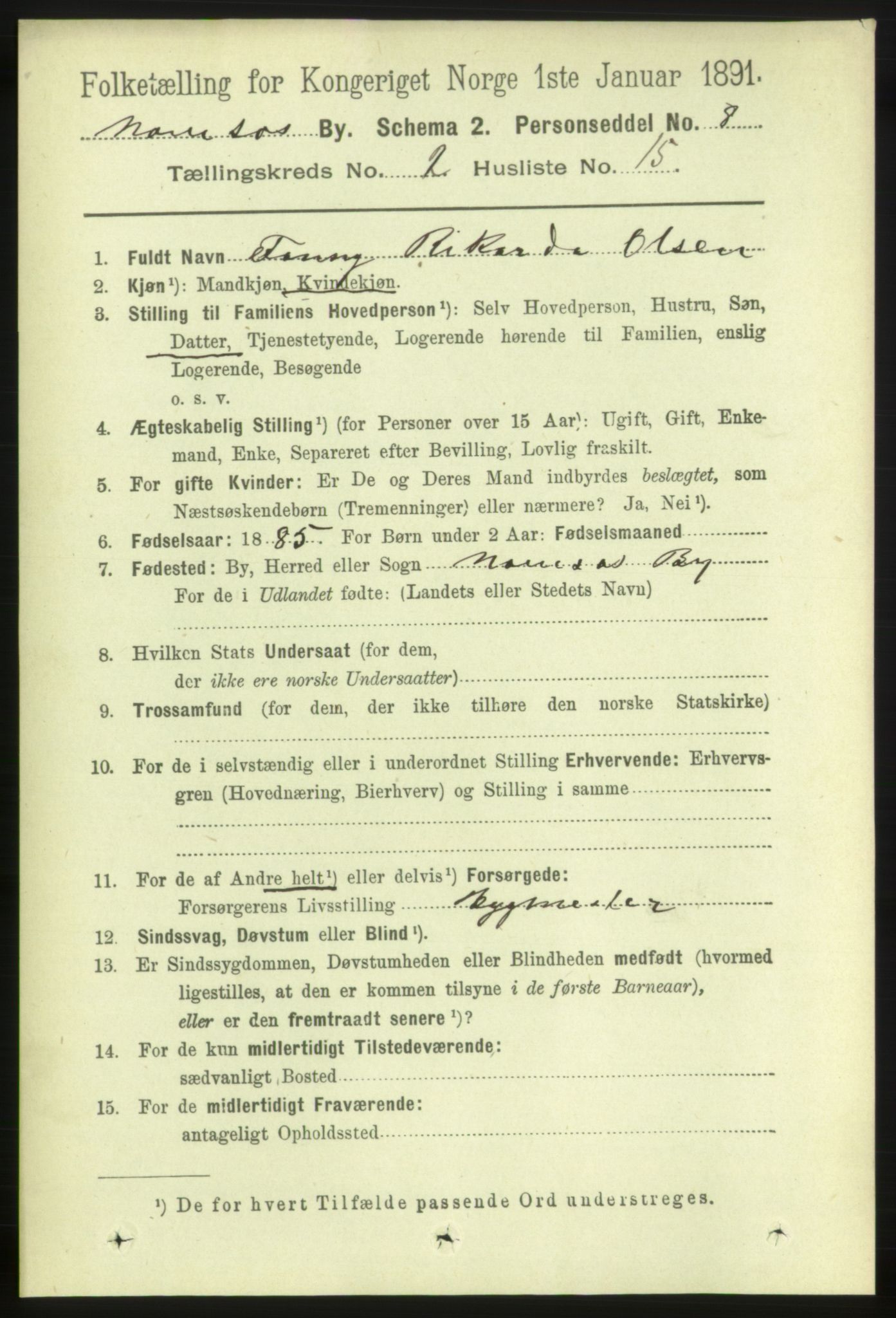 RA, 1891 census for 1703 Namsos, 1891, p. 676