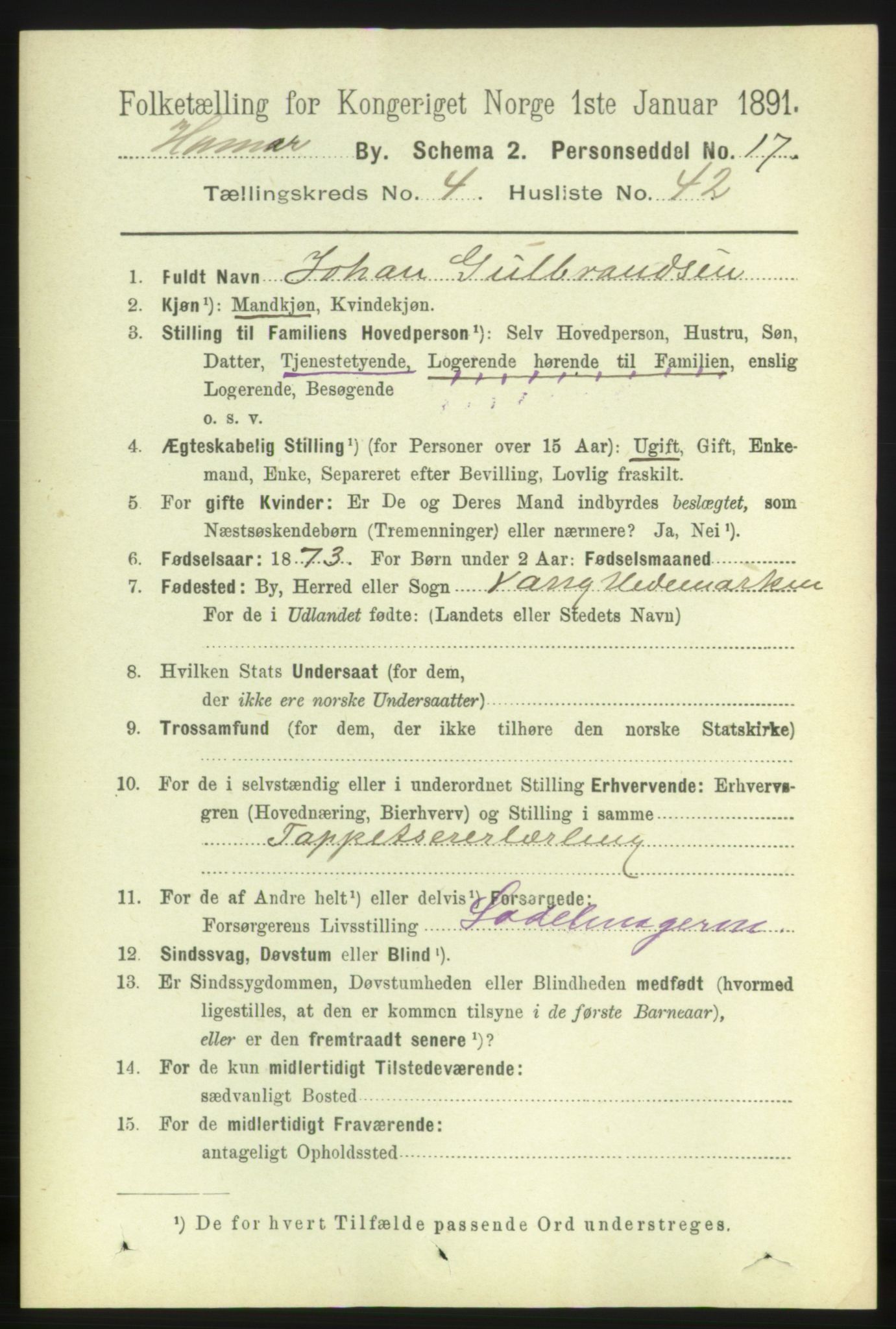 RA, 1891 census for 0401 Hamar, 1891, p. 3609