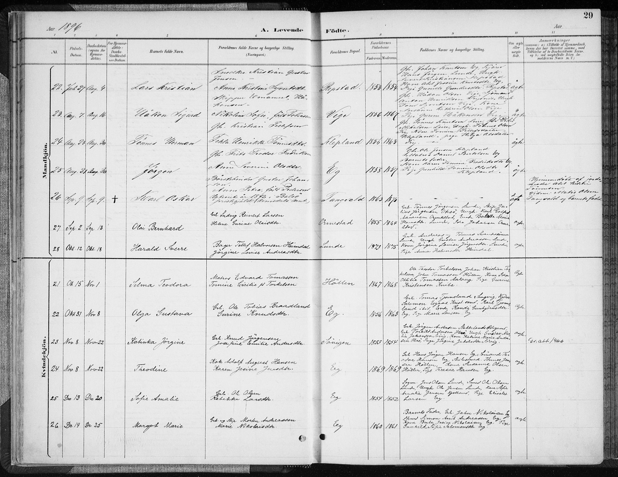 Søgne sokneprestkontor, AV/SAK-1111-0037/F/Fa/Fab/L0013: Parish register (official) no. A 13, 1892-1911, p. 29