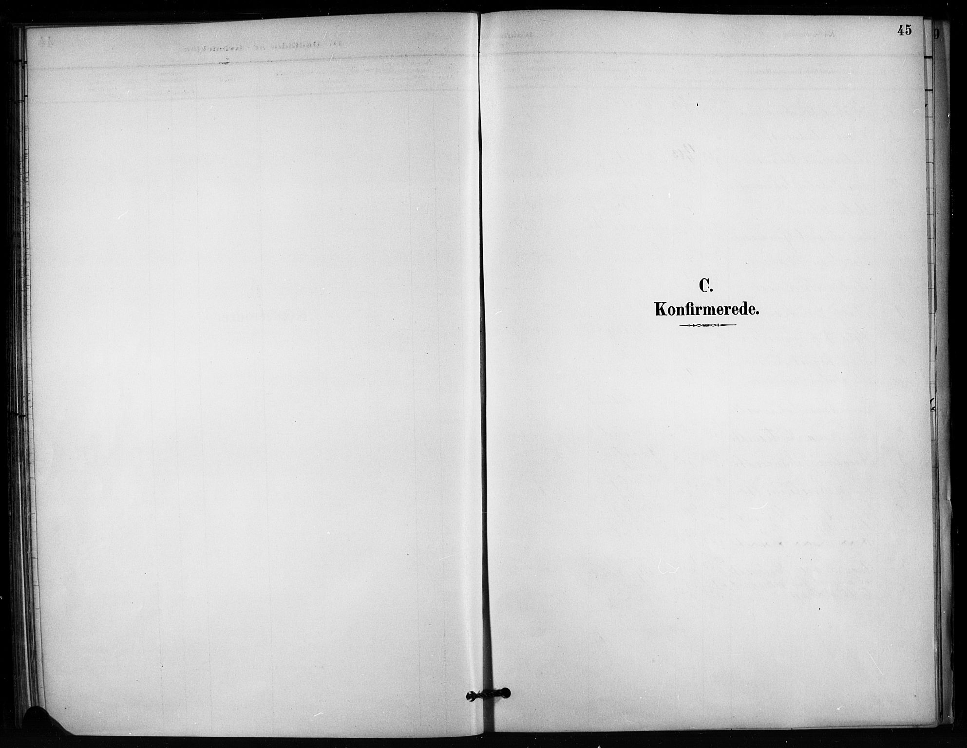 Enebakk prestekontor Kirkebøker, SAO/A-10171c/F/Fb/L0001: Parish register (official) no. II 1, 1877-1902, p. 45