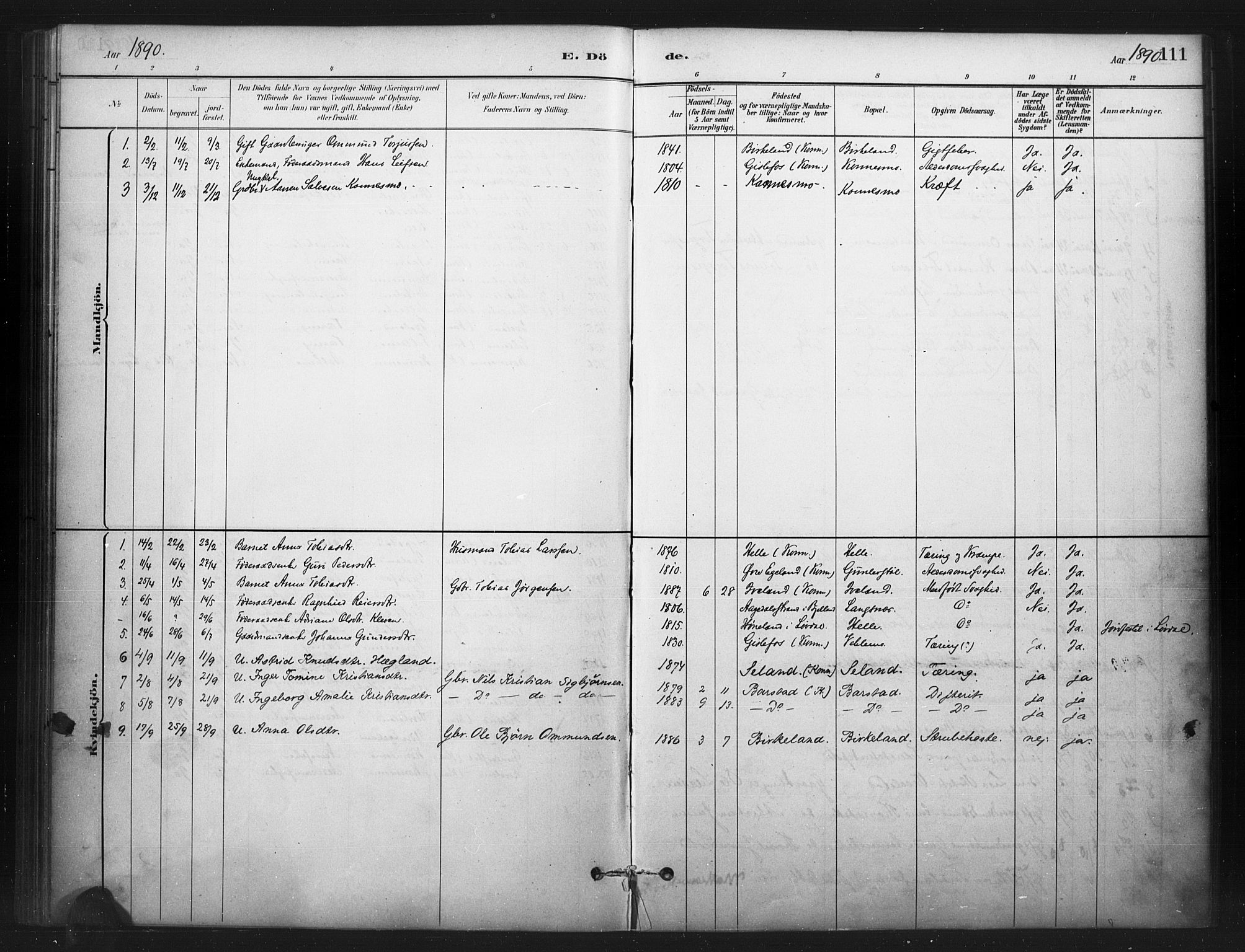 Nord-Audnedal sokneprestkontor, SAK/1111-0032/F/Fa/Faa/L0003: Parish register (official) no. A 3, 1882-1900, p. 111