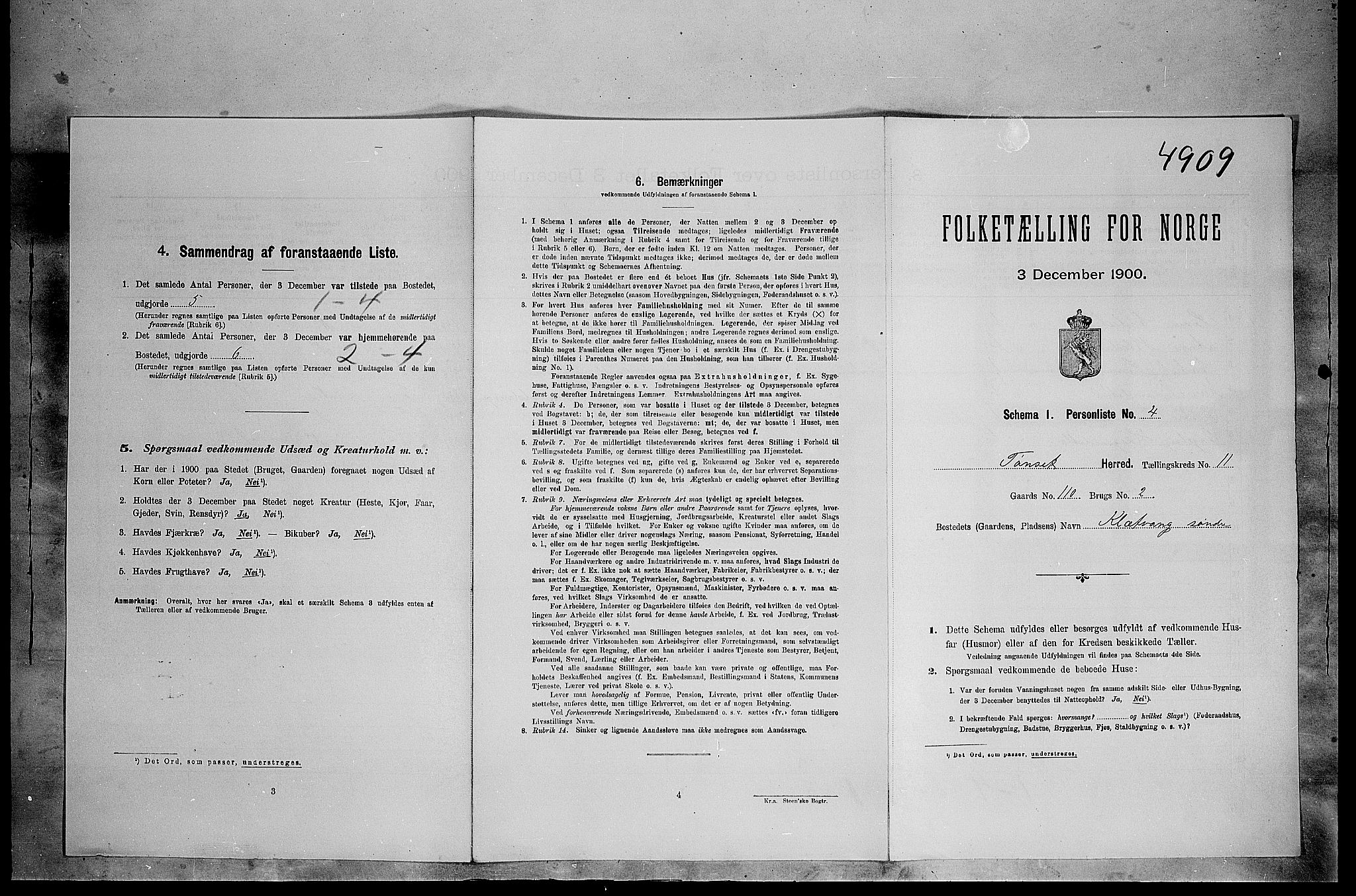 SAH, 1900 census for Tynset, 1900, p. 1006