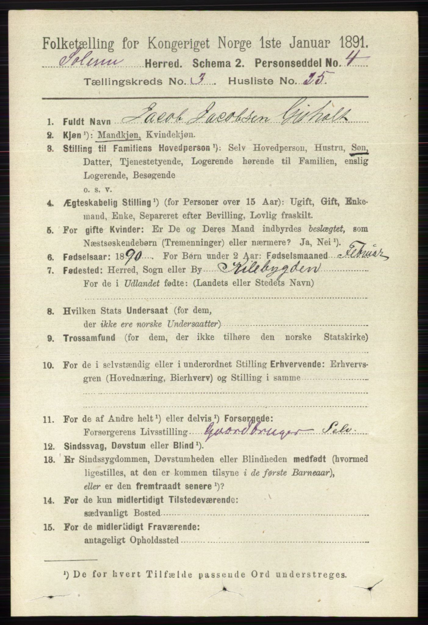 RA, 1891 census for 0818 Solum, 1891, p. 481