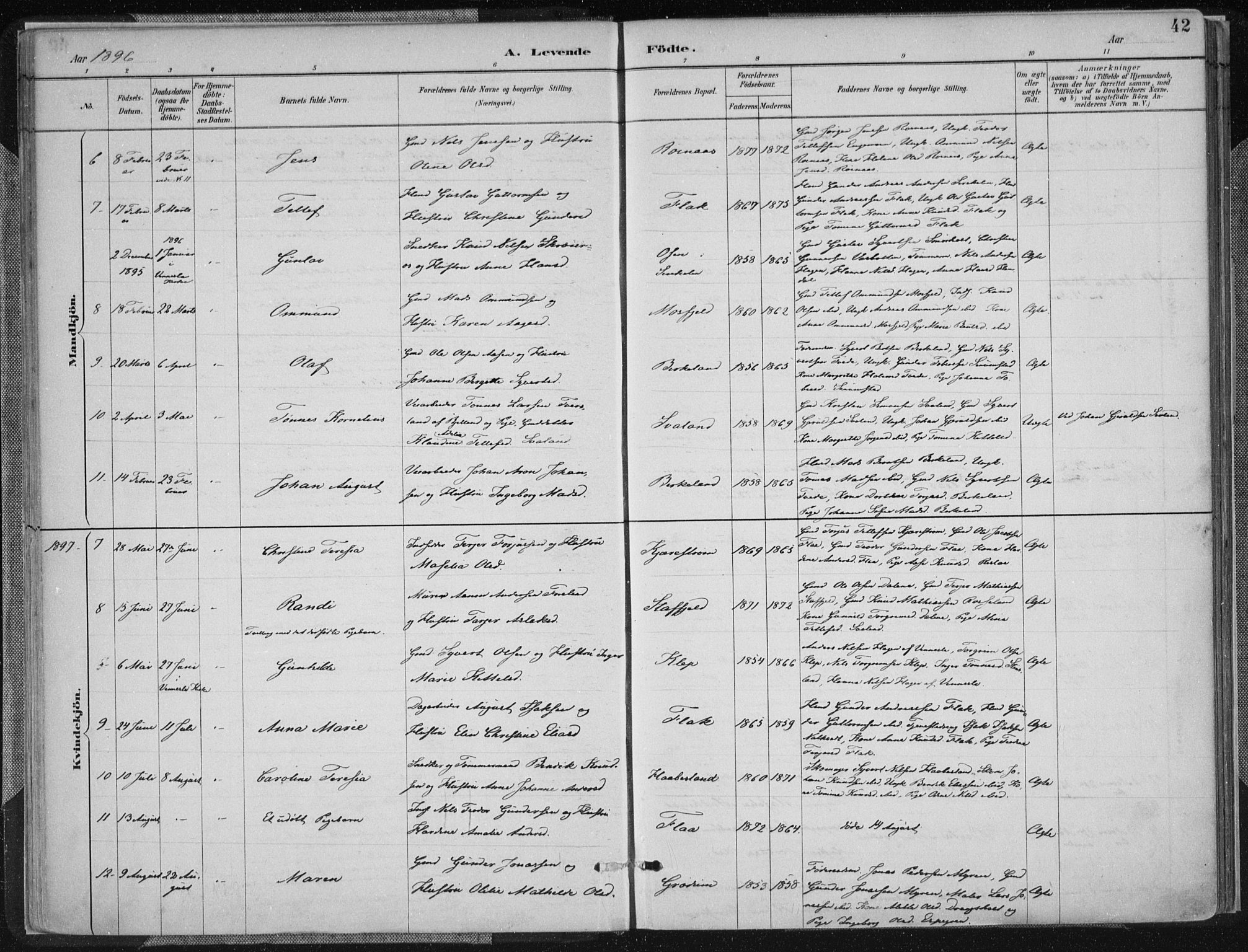 Birkenes sokneprestkontor, AV/SAK-1111-0004/F/Fa/L0005: Parish register (official) no. A 5, 1887-1907, p. 42