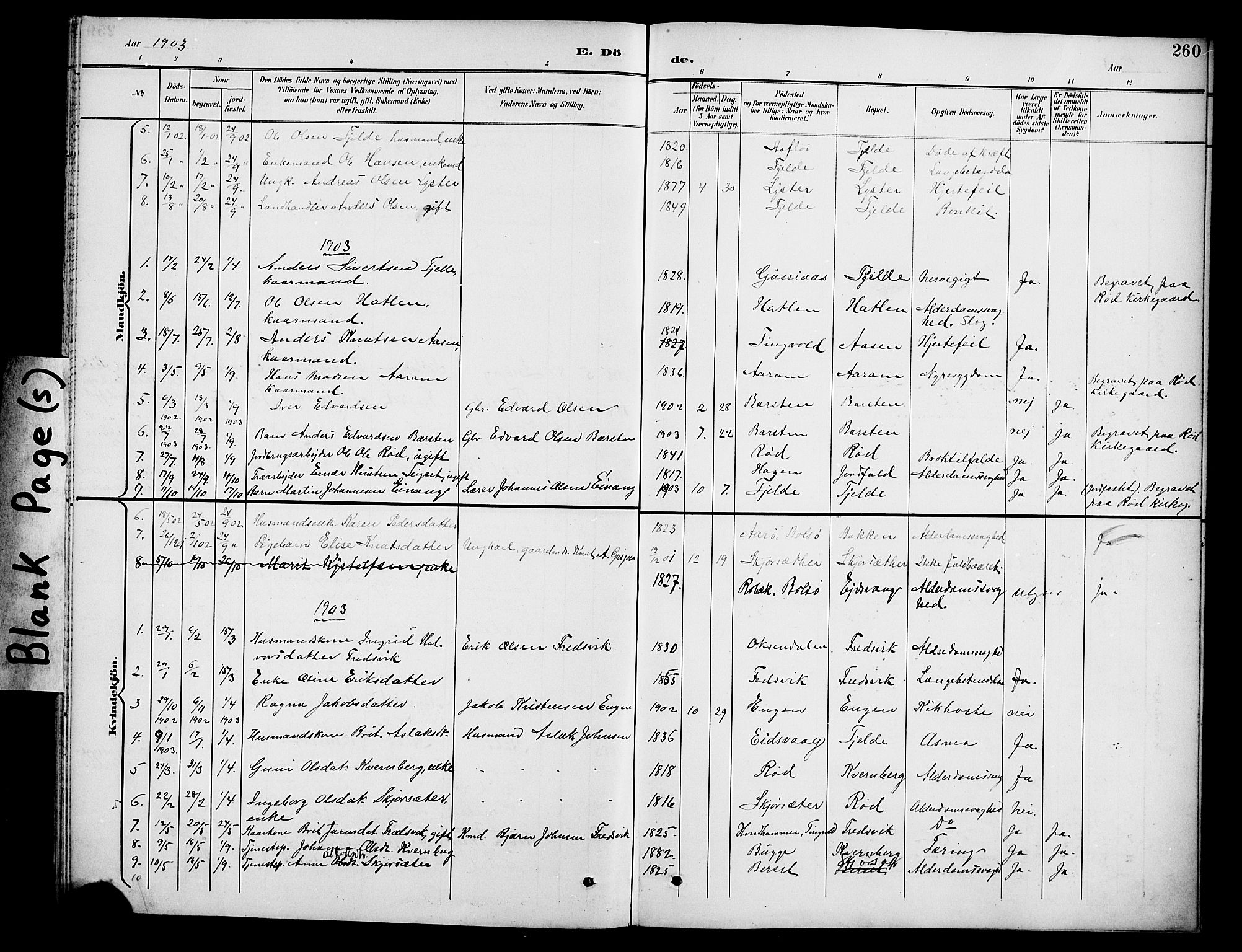 Ministerialprotokoller, klokkerbøker og fødselsregistre - Møre og Romsdal, AV/SAT-A-1454/551/L0632: Parish register (copy) no. 551C04, 1894-1920, p. 260