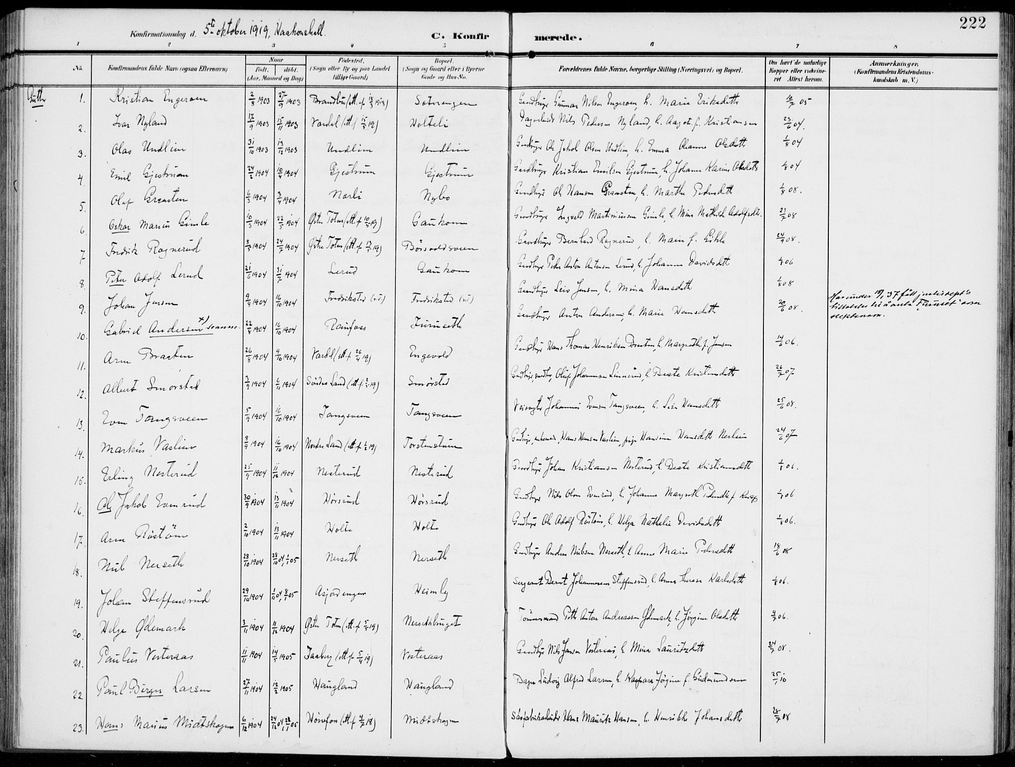 Vestre Toten prestekontor, SAH/PREST-108/H/Ha/Haa/L0014: Parish register (official) no. 14, 1907-1920, p. 222