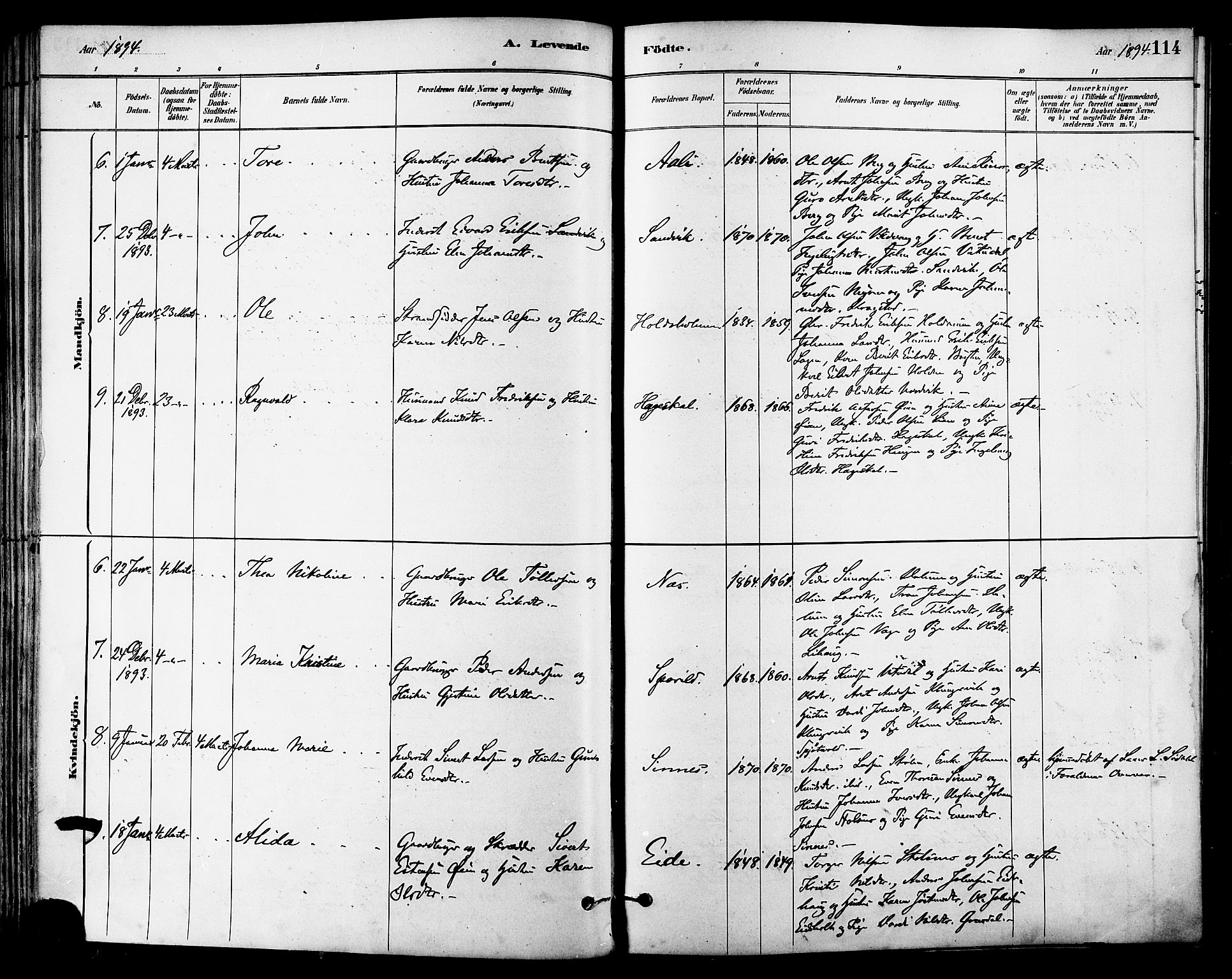 Ministerialprotokoller, klokkerbøker og fødselsregistre - Sør-Trøndelag, SAT/A-1456/630/L0496: Parish register (official) no. 630A09, 1879-1895, p. 114