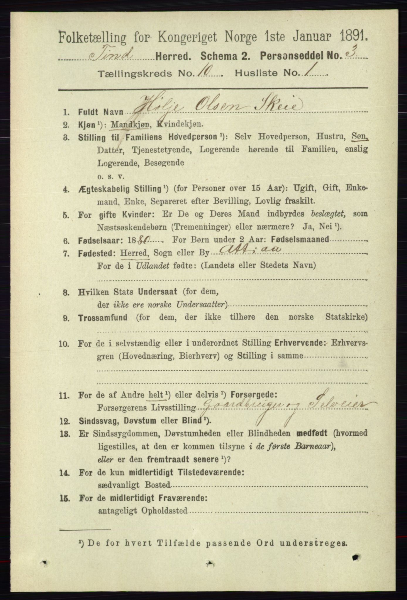 RA, 1891 census for 0826 Tinn, 1891, p. 1969