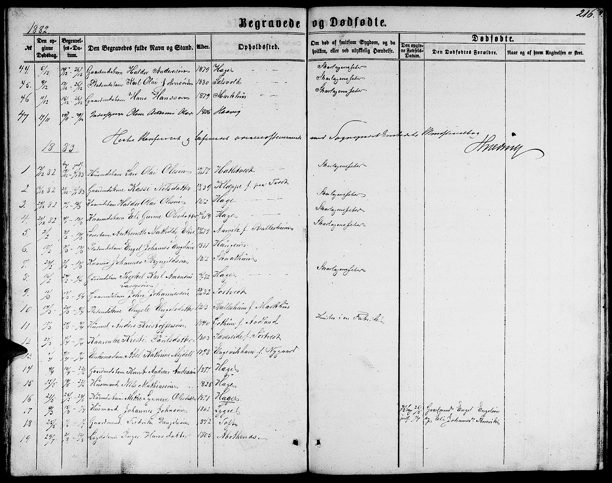 Fusa sokneprestembete, SAB/A-75401/H/Hab: Parish register (copy) no. C 1, 1861-1885, p. 216