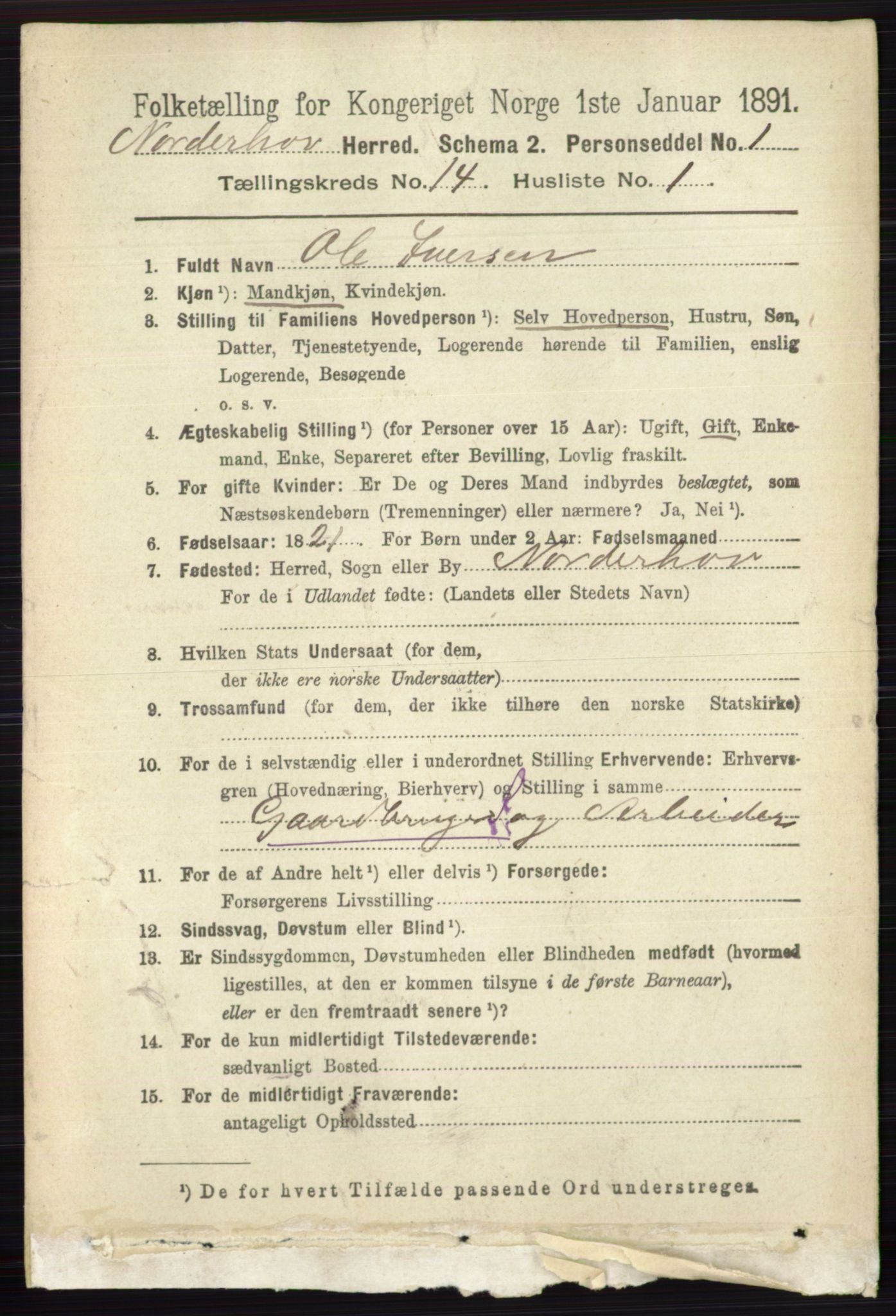 RA, 1891 census for 0613 Norderhov, 1891, p. 9329