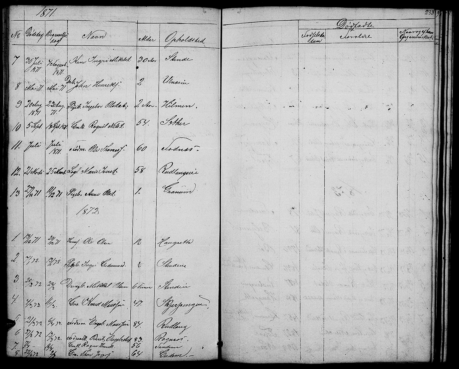 Nord-Aurdal prestekontor, AV/SAH-PREST-132/H/Ha/Hab/L0004: Parish register (copy) no. 4, 1842-1882, p. 238