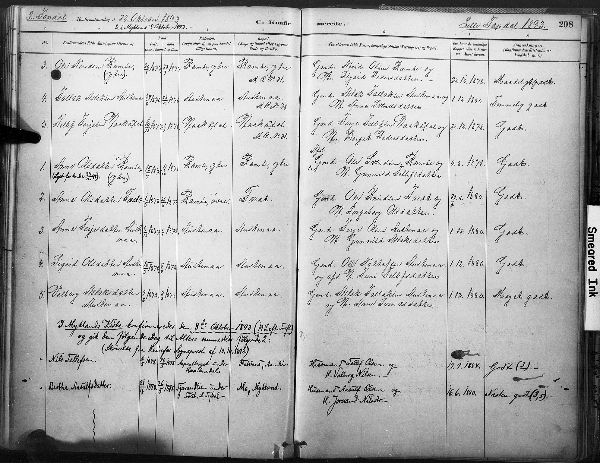 Åmli sokneprestkontor, SAK/1111-0050/F/Fa/Fac/L0010: Parish register (official) no. A 10 /3, 1885-1899, p. 298