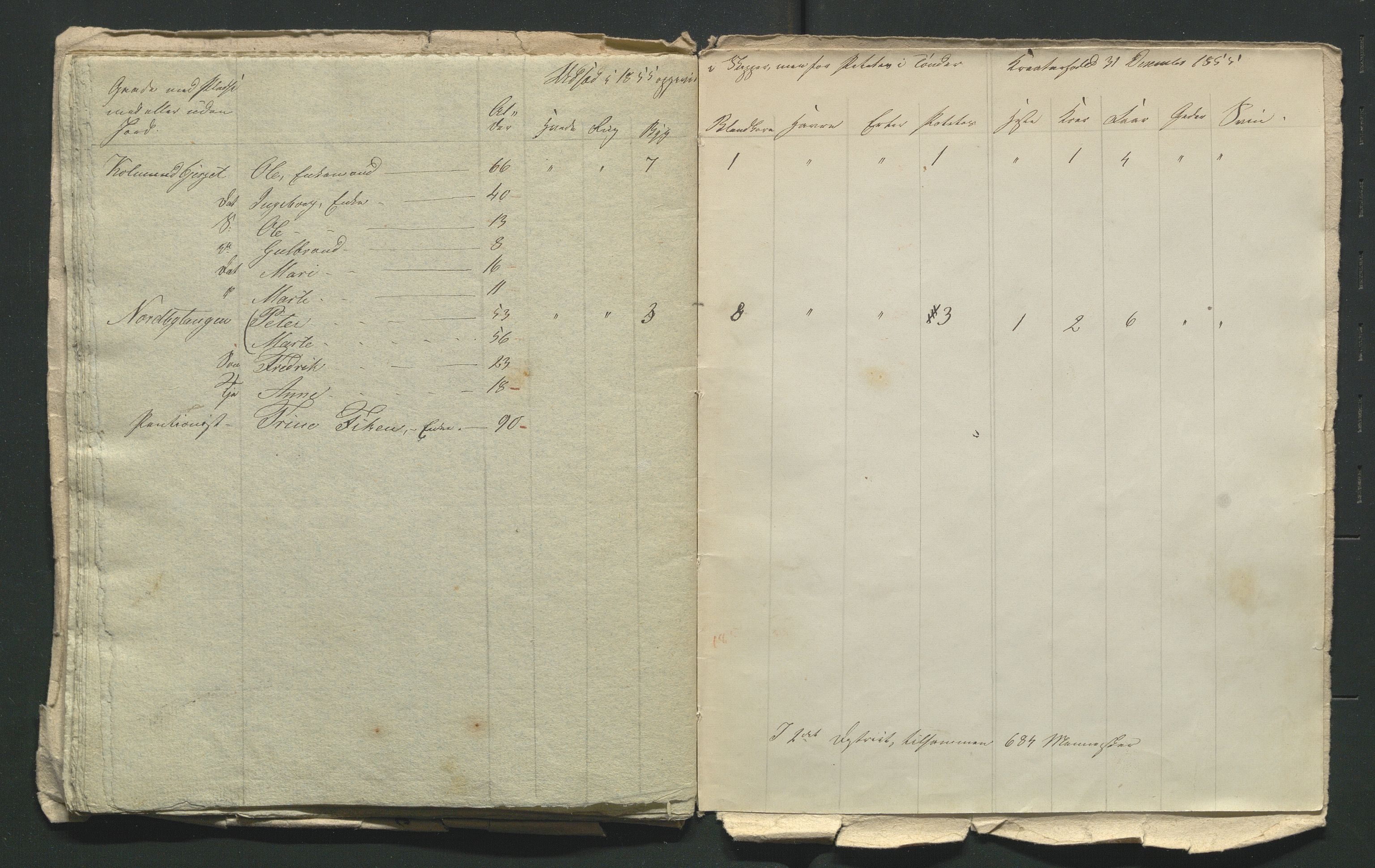 SAH, 1855 Census for Jevnaker parish, 1855, p. 171