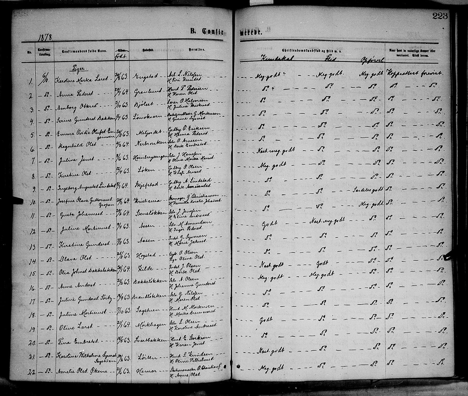 Elverum prestekontor, AV/SAH-PREST-044/H/Ha/Haa/L0011: Parish register (official) no. 11, 1869-1879, p. 223