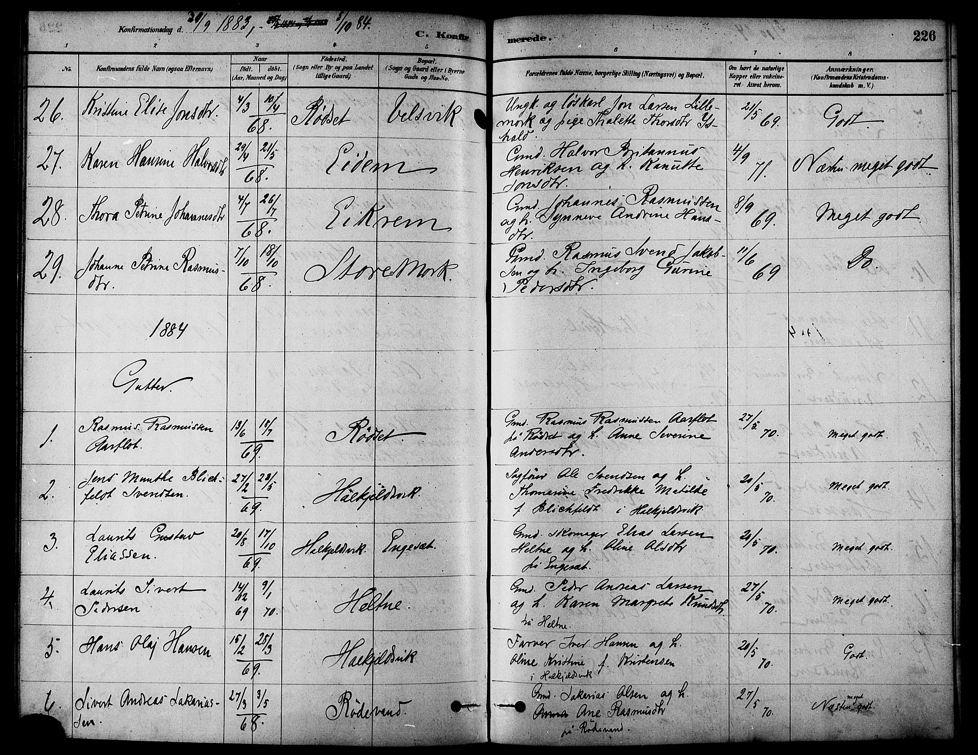 Ministerialprotokoller, klokkerbøker og fødselsregistre - Møre og Romsdal, AV/SAT-A-1454/511/L0141: Parish register (official) no. 511A08, 1878-1890, p. 226