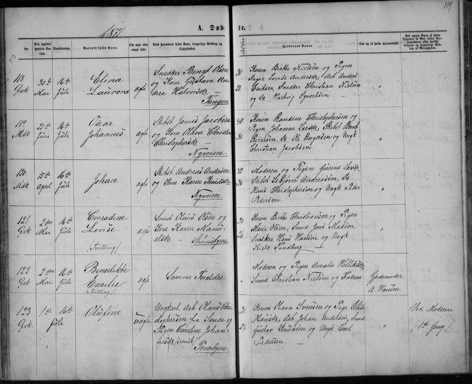 Strømsø kirkebøker, SAKO/A-246/F/Fa/L0016: Parish register (official) no. I 16, 1868-1873, p. 119