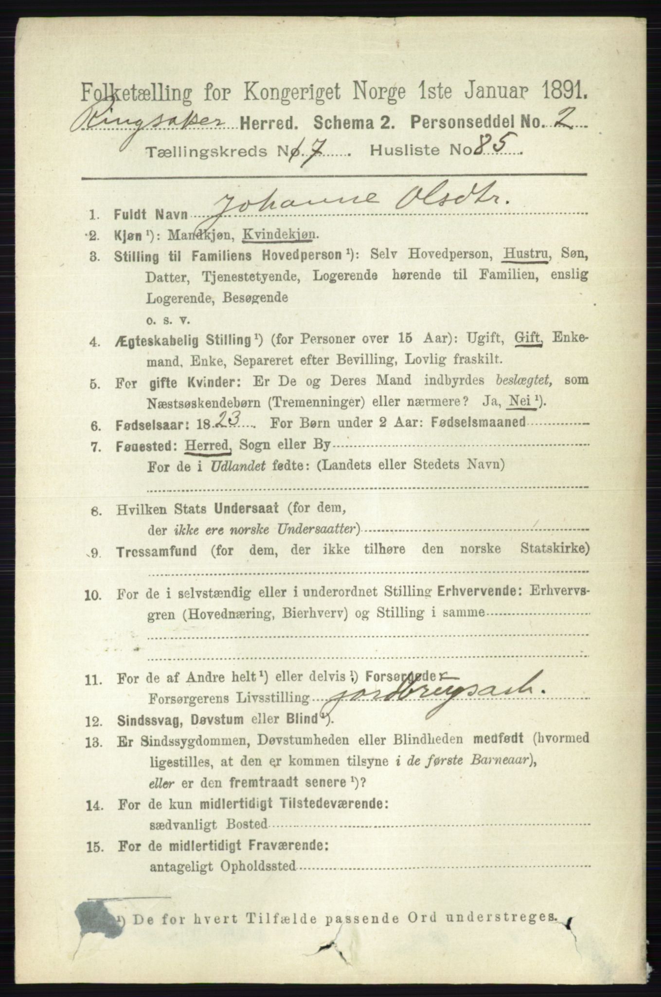 RA, 1891 census for 0412 Ringsaker, 1891, p. 10294