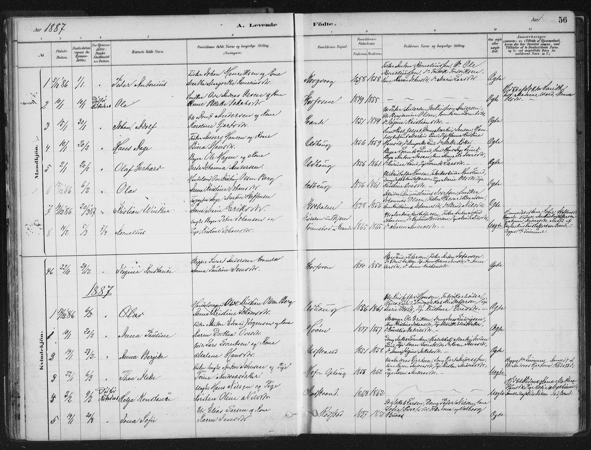 Ministerialprotokoller, klokkerbøker og fødselsregistre - Sør-Trøndelag, SAT/A-1456/659/L0739: Parish register (official) no. 659A09, 1879-1893, p. 56