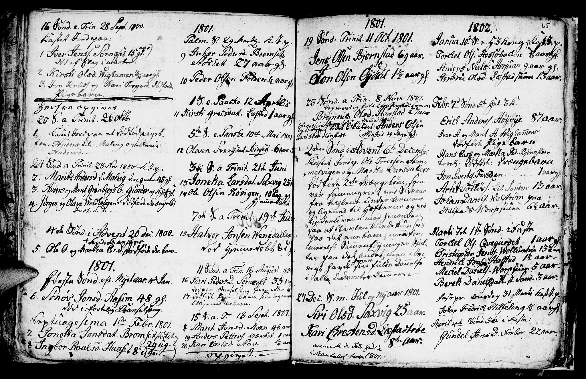 Ministerialprotokoller, klokkerbøker og fødselsregistre - Sør-Trøndelag, SAT/A-1456/616/L0419: Parish register (copy) no. 616C02, 1797-1816, p. 65