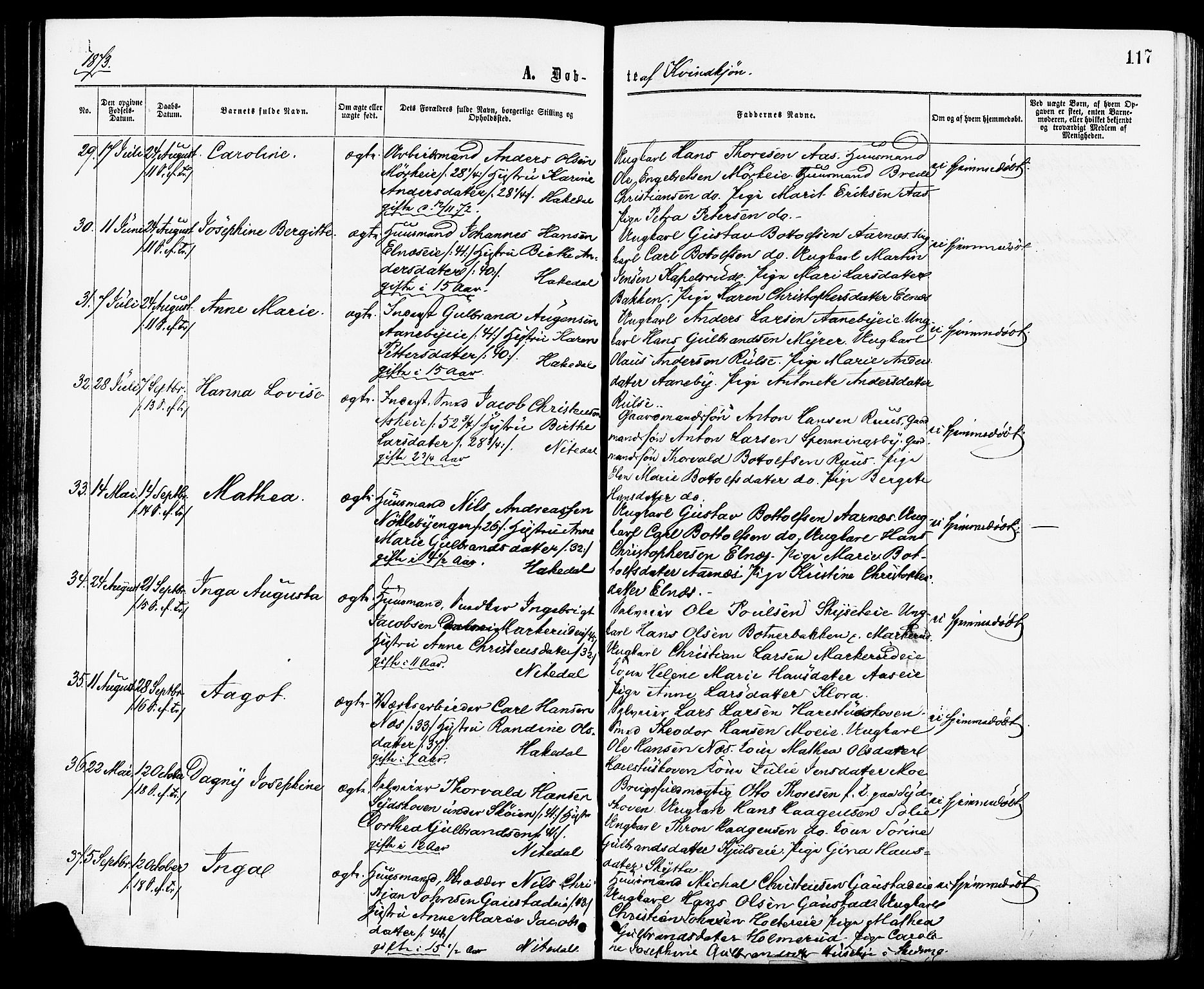 Nittedal prestekontor Kirkebøker, SAO/A-10365a/F/Fa/L0006: Parish register (official) no. I 6, 1863-1878, p. 117