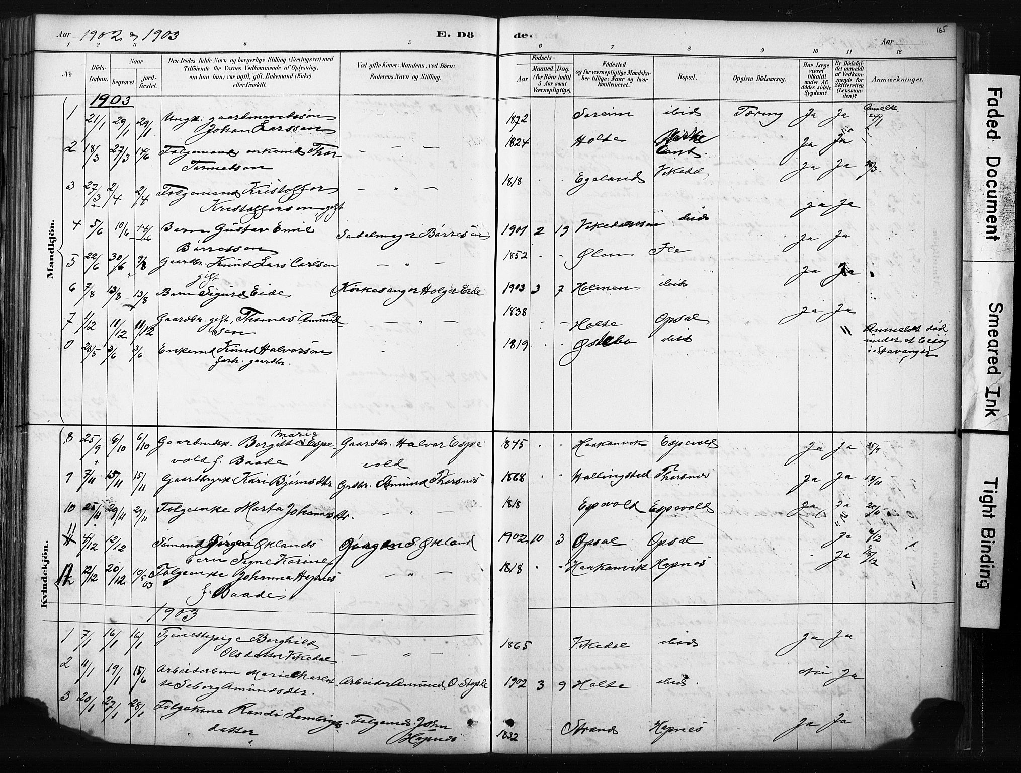 Vikedal sokneprestkontor, SAST/A-101840/01/IV: Parish register (official) no. A 10, 1884-1907, p. 165