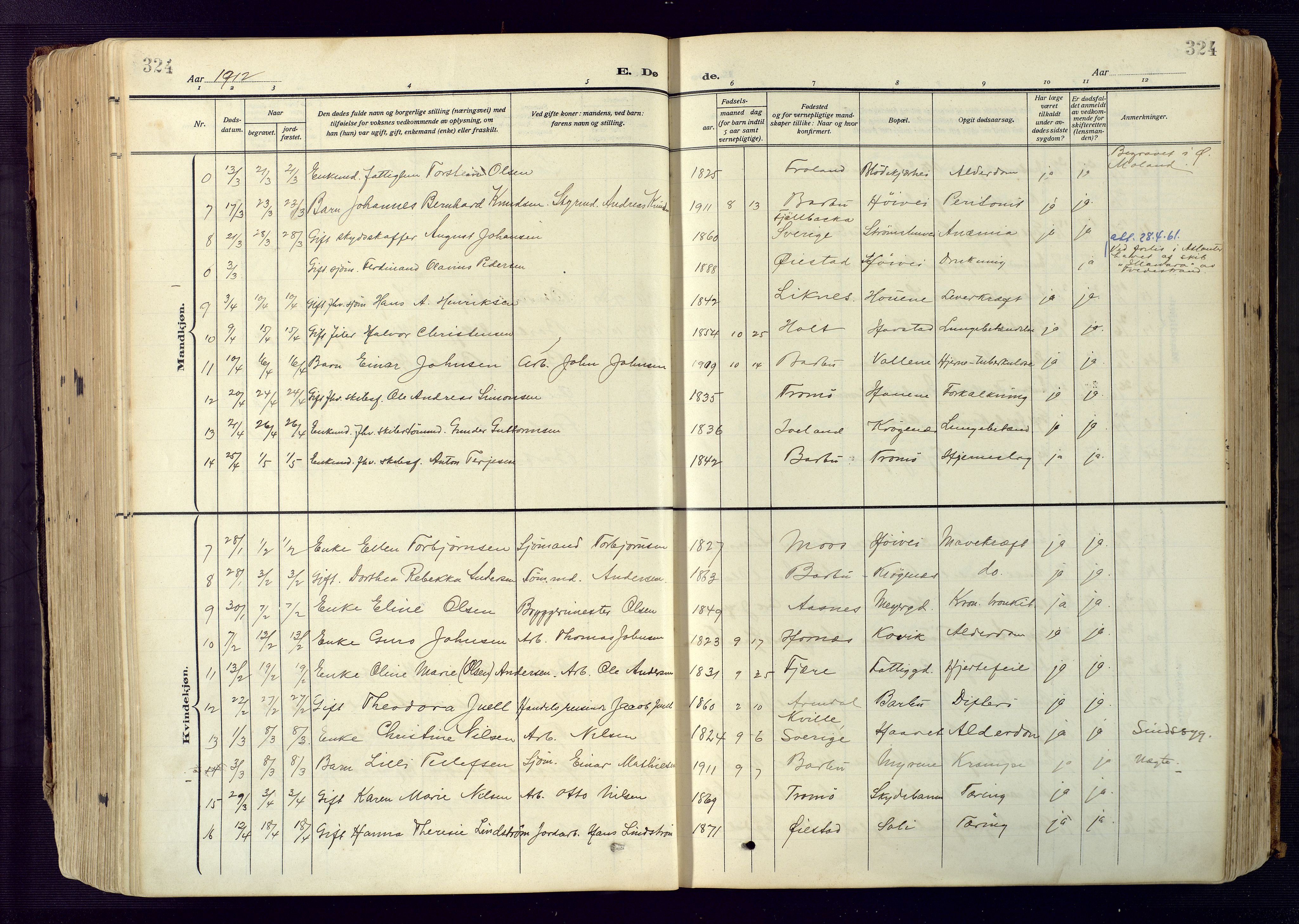 Barbu sokneprestkontor, AV/SAK-1111-0003/F/Fa/L0006: Parish register (official) no. A 6, 1910-1929, p. 324