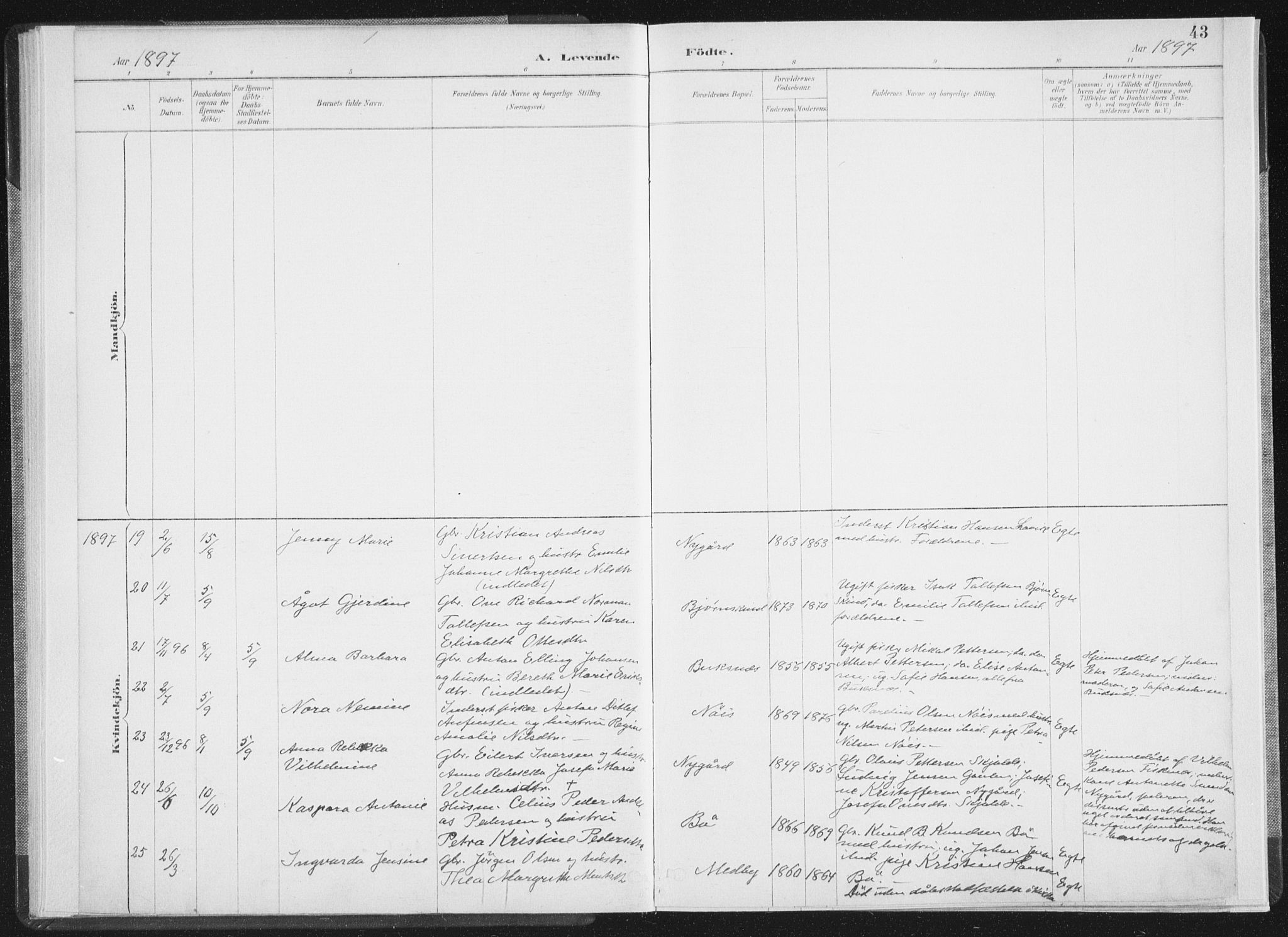 Ministerialprotokoller, klokkerbøker og fødselsregistre - Nordland, SAT/A-1459/898/L1422: Parish register (official) no. 898A02, 1887-1908, p. 43